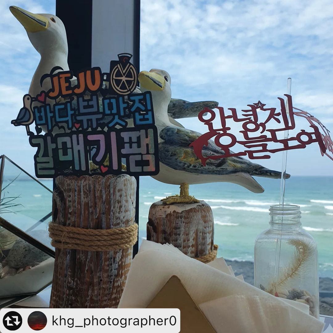 갈매기팸 세화본점