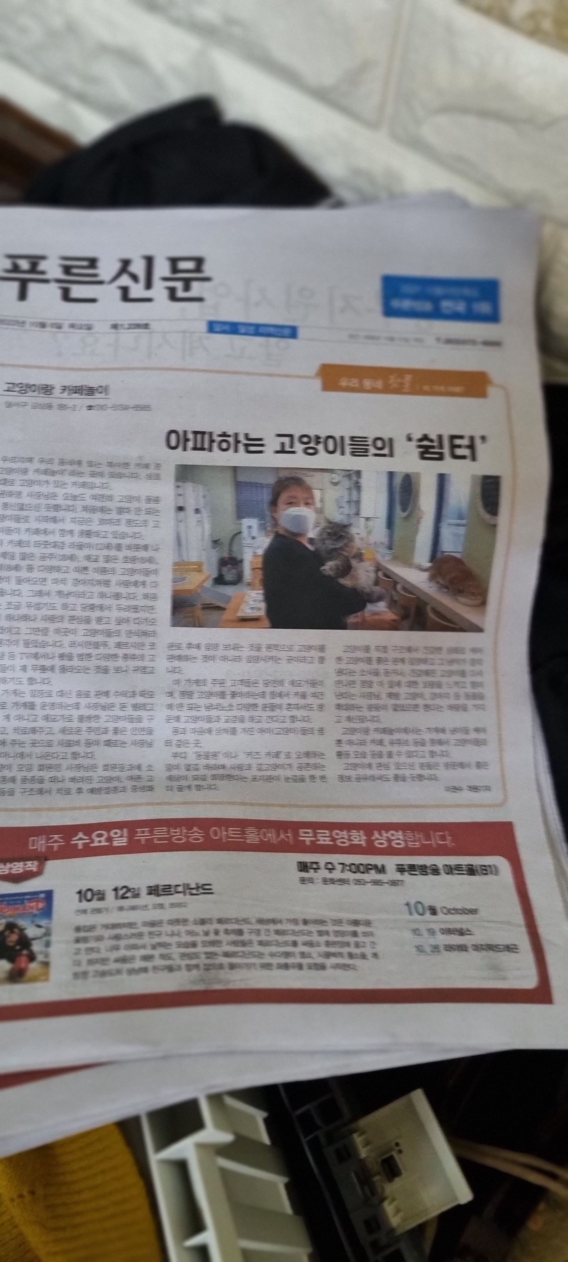 고양이랑카페놀이