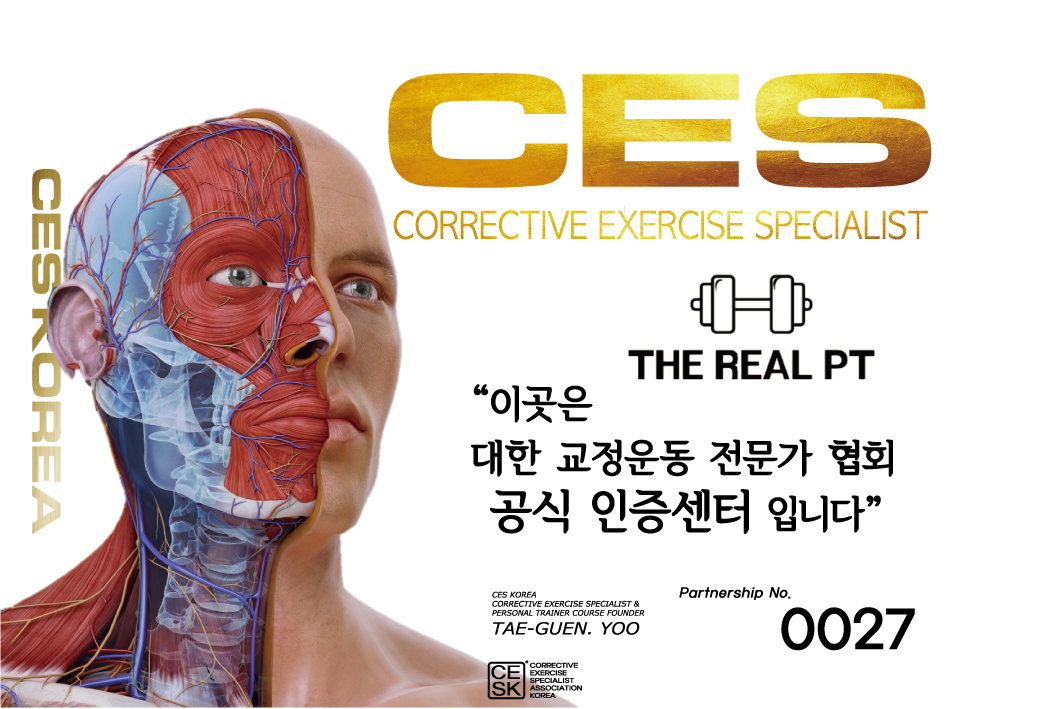 더리얼피티 대표 이미지
