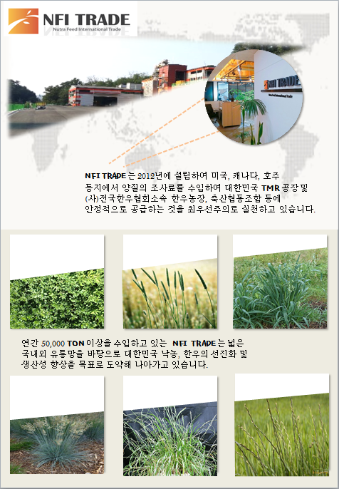 엔에프아이트레이드
