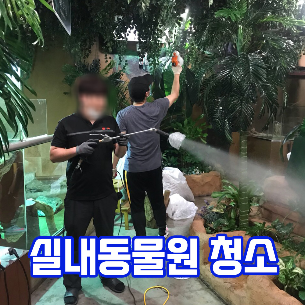 클린업플러스