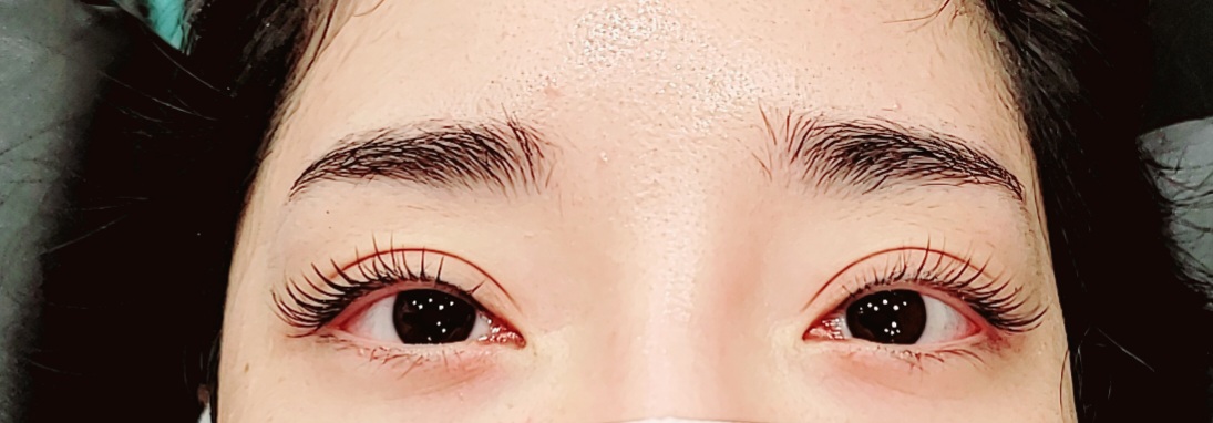 마음에 쏙드는 눈썹
