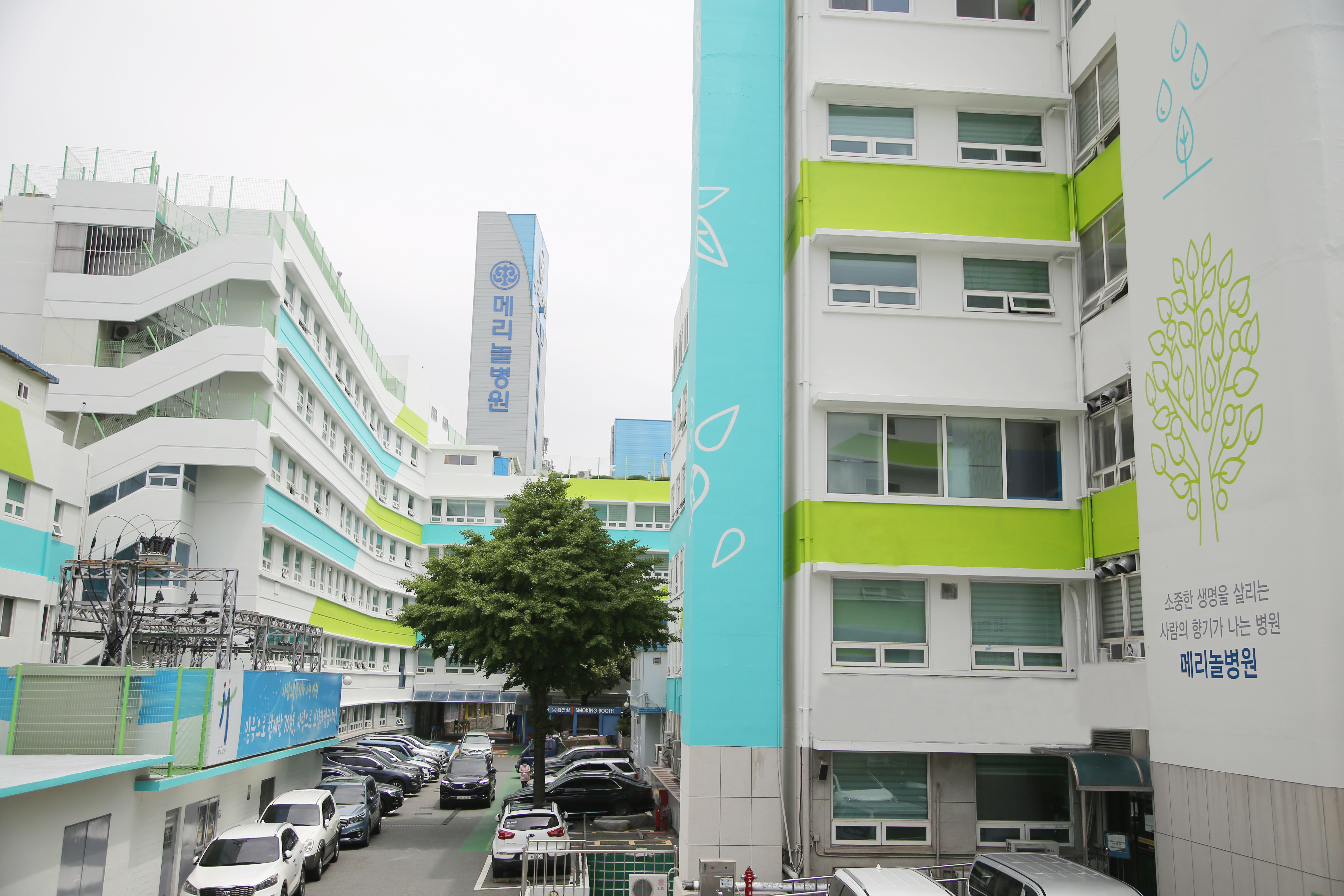 메리놀병원 대표 이미지