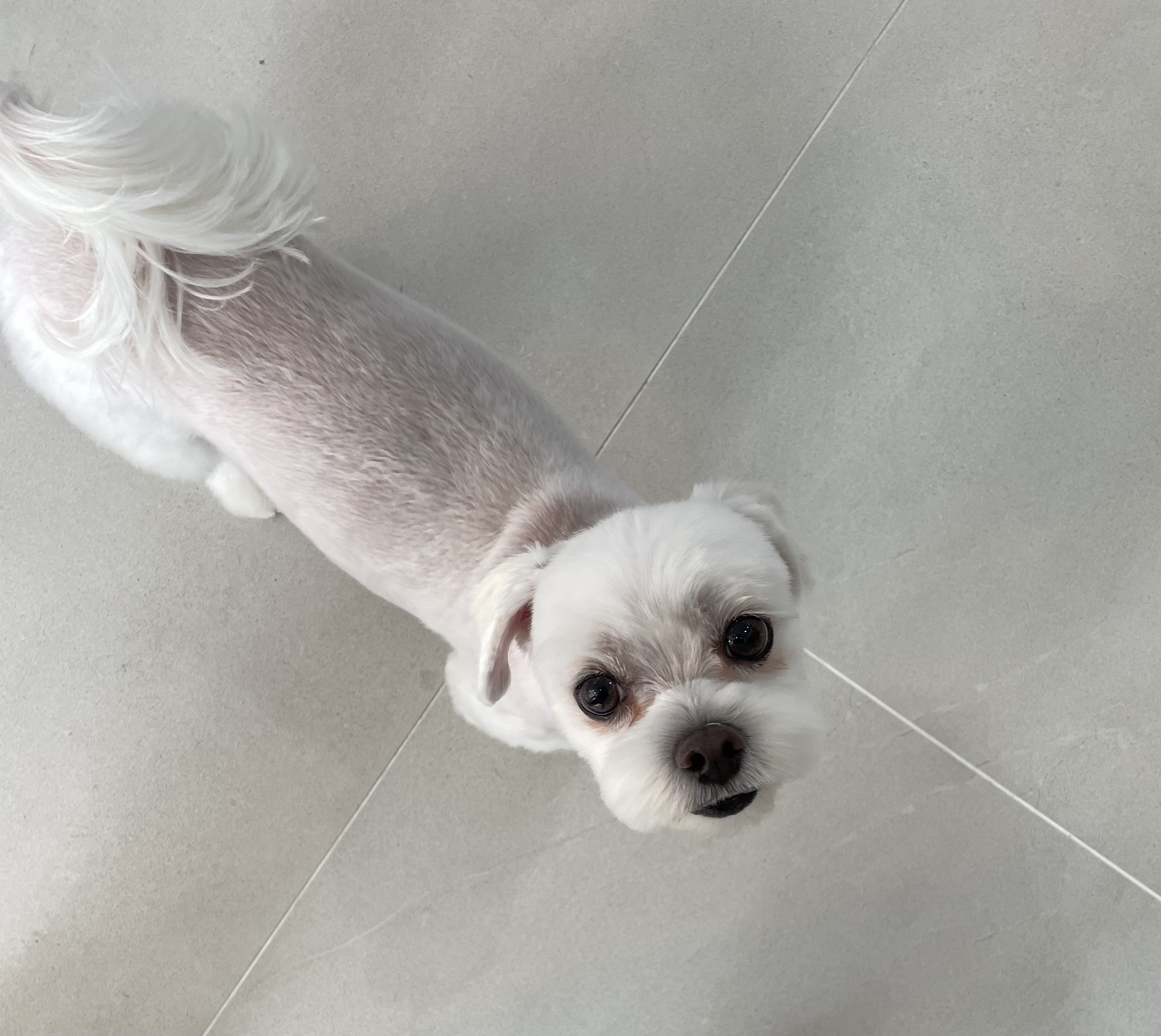 버블멍 대표 이미지