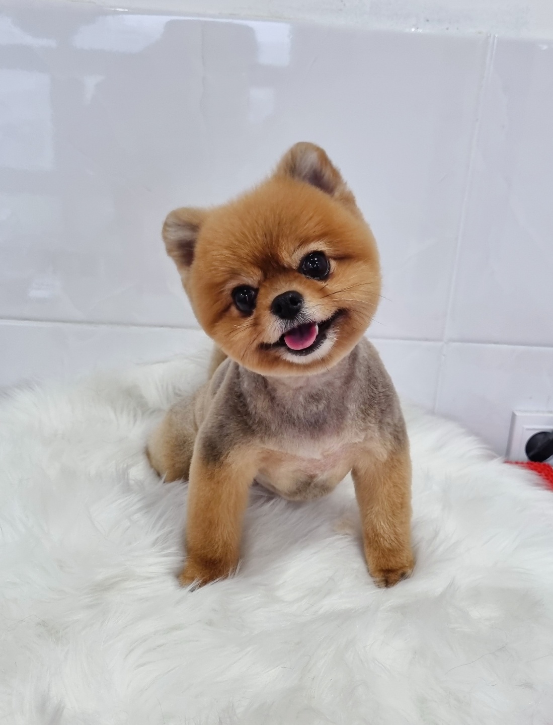 그루밍몽몽 대표 이미지