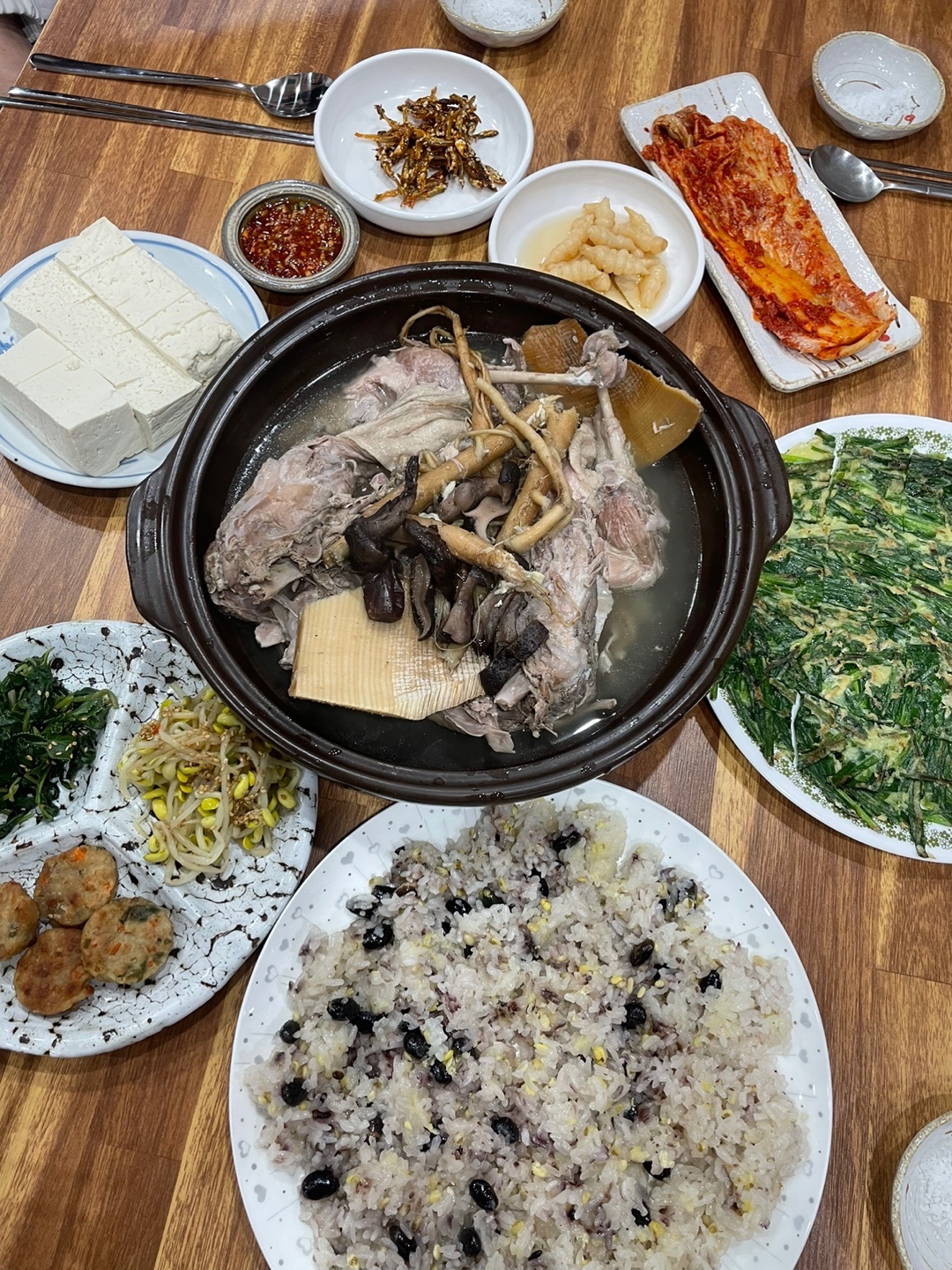 고도520 반려동물 동반 애견카페