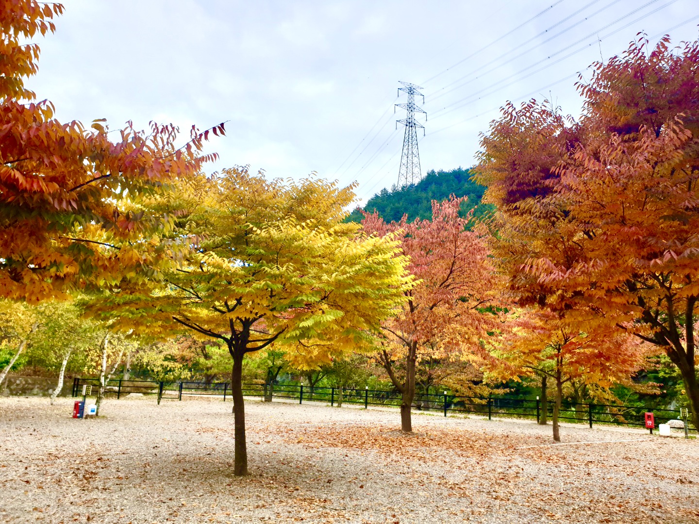 삼척엘림캠핑장