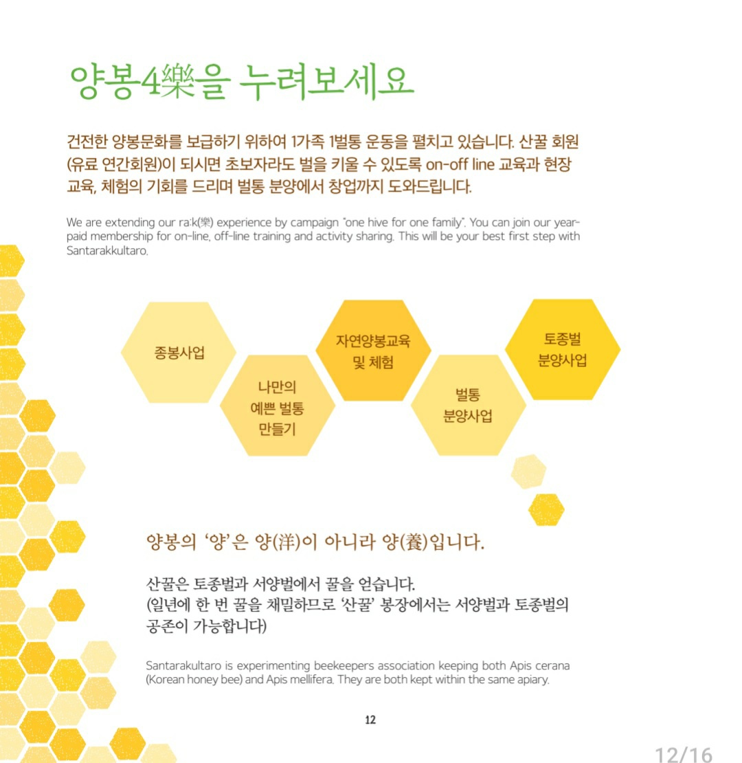 사계담은꿀 허니버블