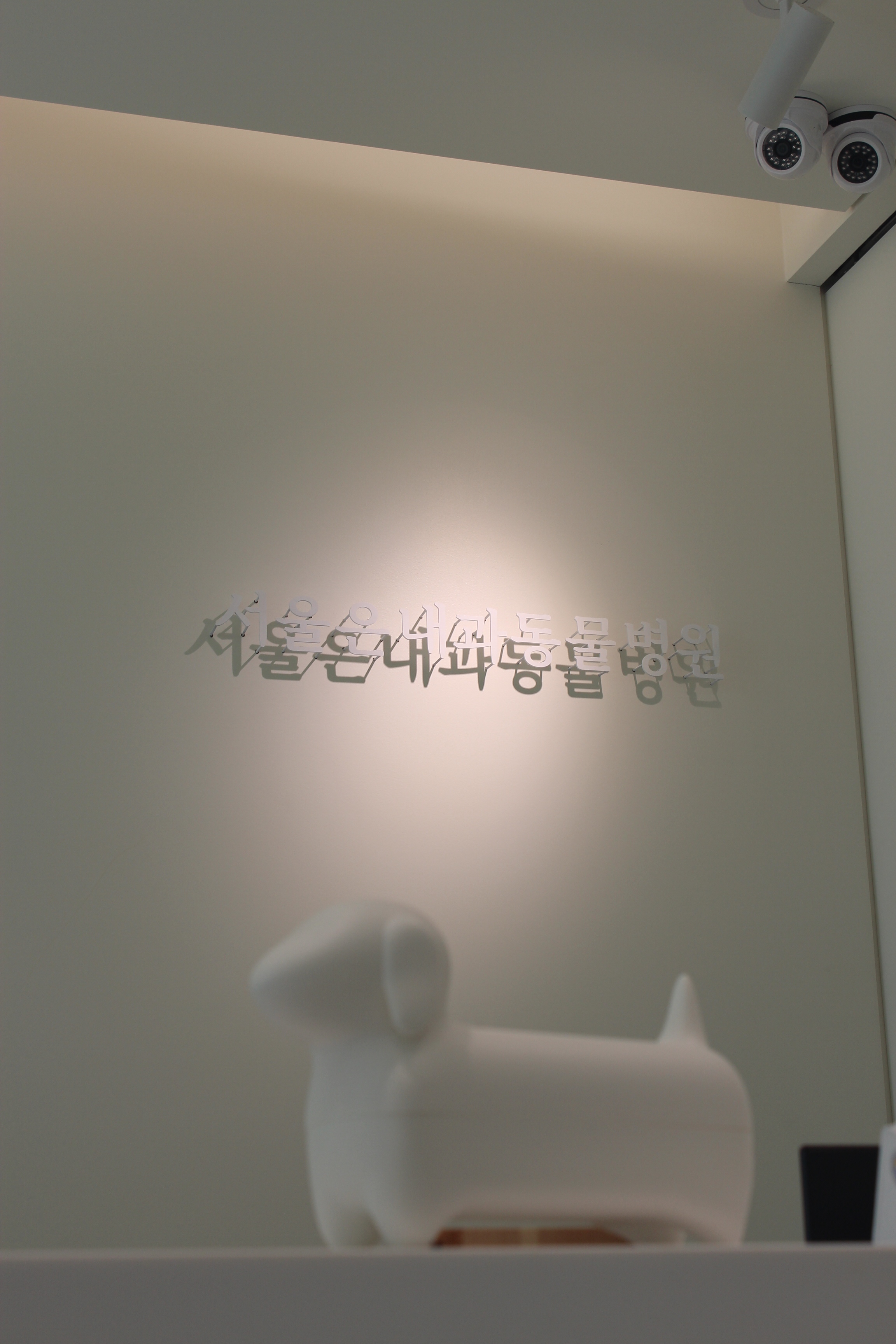 서울은내과동물병원 대표 이미지