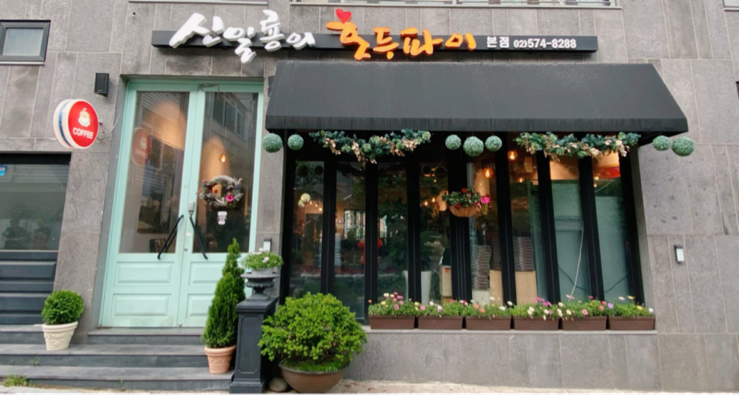 신일룡의 호두파이 본점