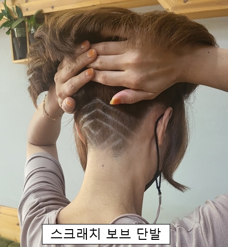 차니헤어