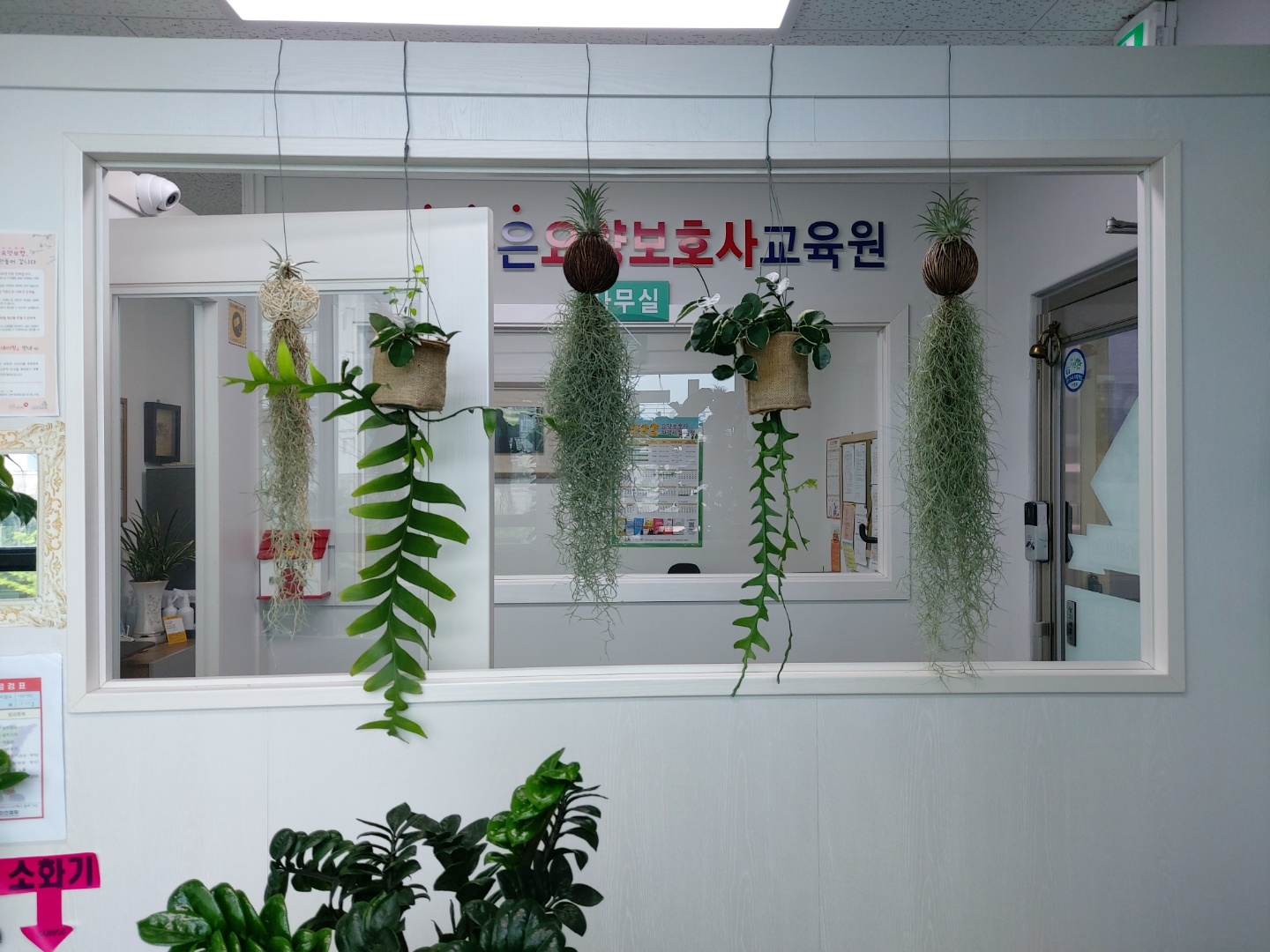 THE참좋은요양보호사교육원