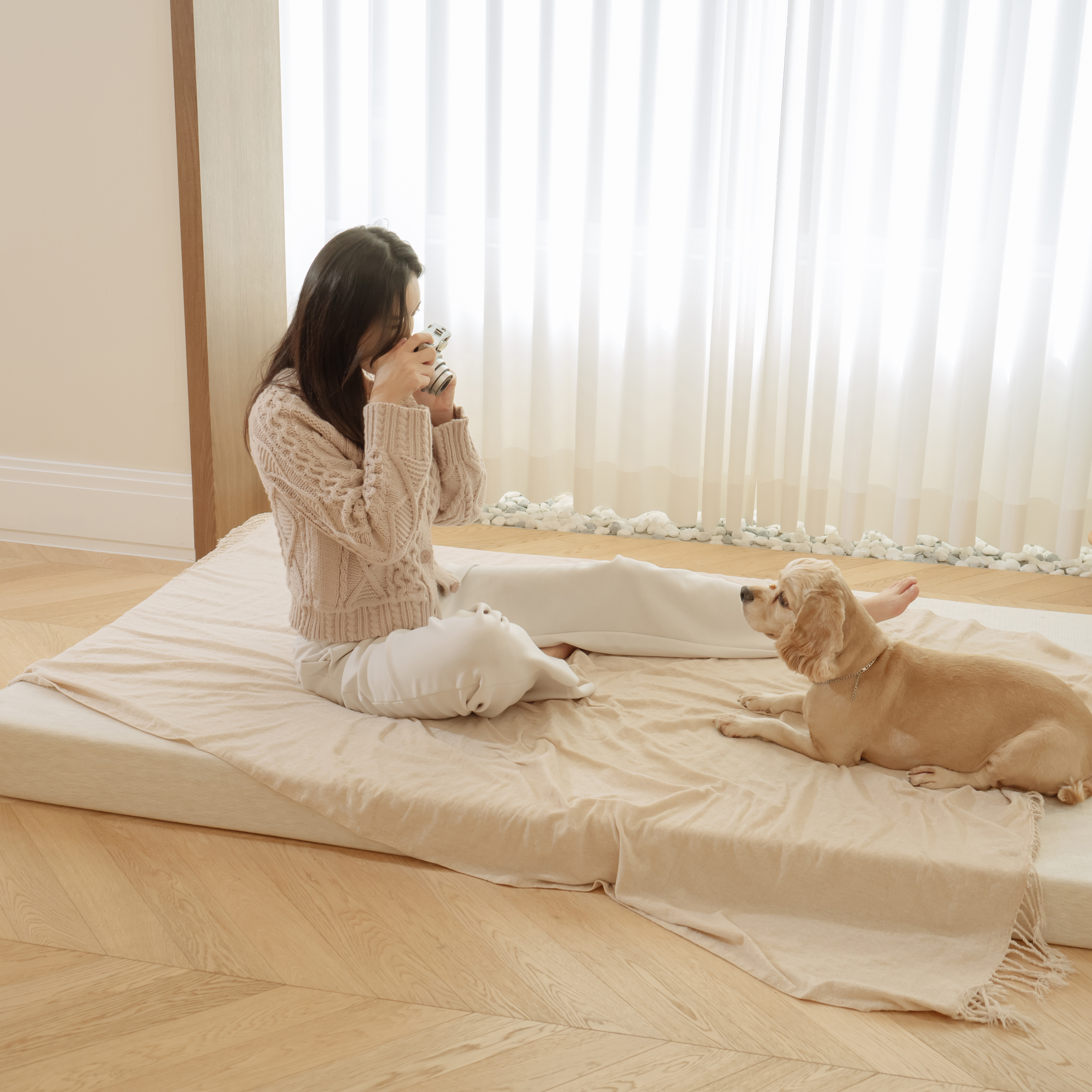 뉴몽