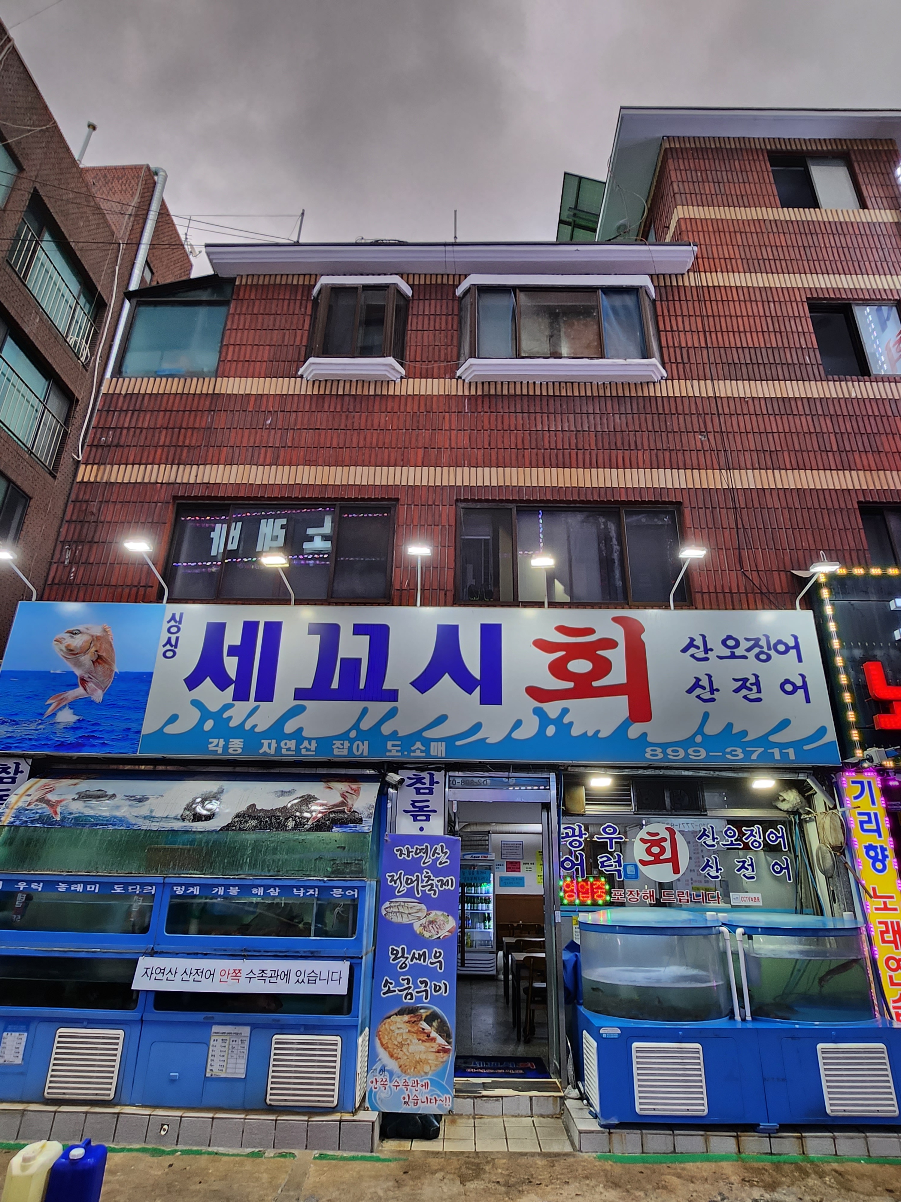 싱싱세꼬시회