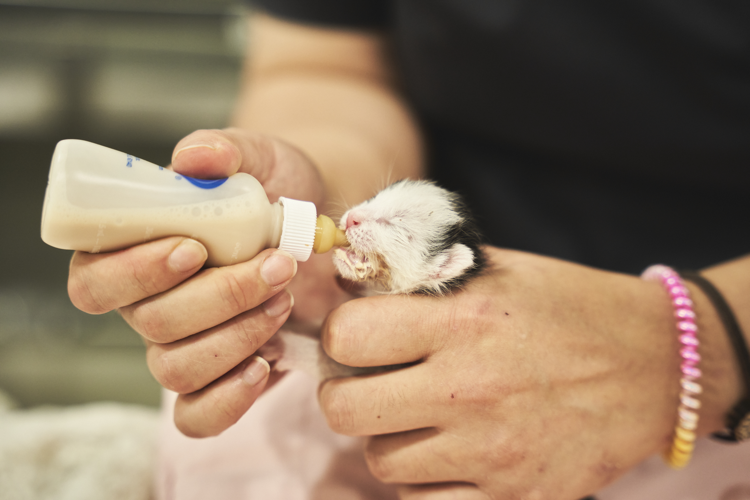 백산동물병원 대표 이미지