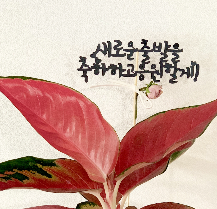 숲속의집 2