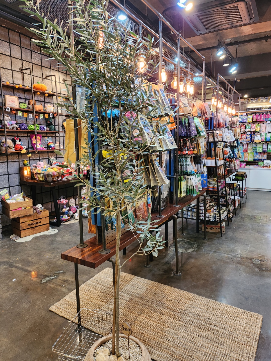 펫츠도어 대표 이미지