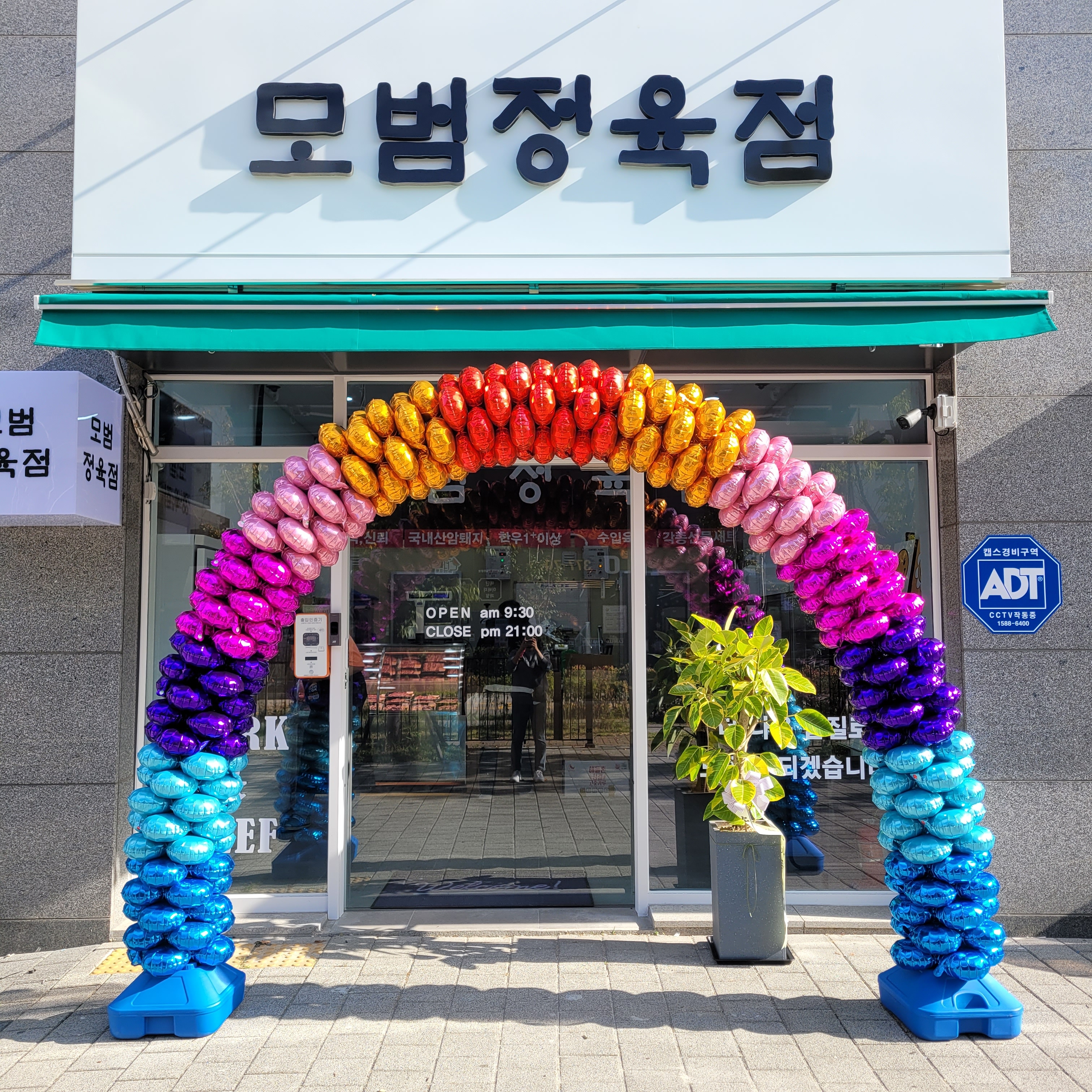 모범정육점