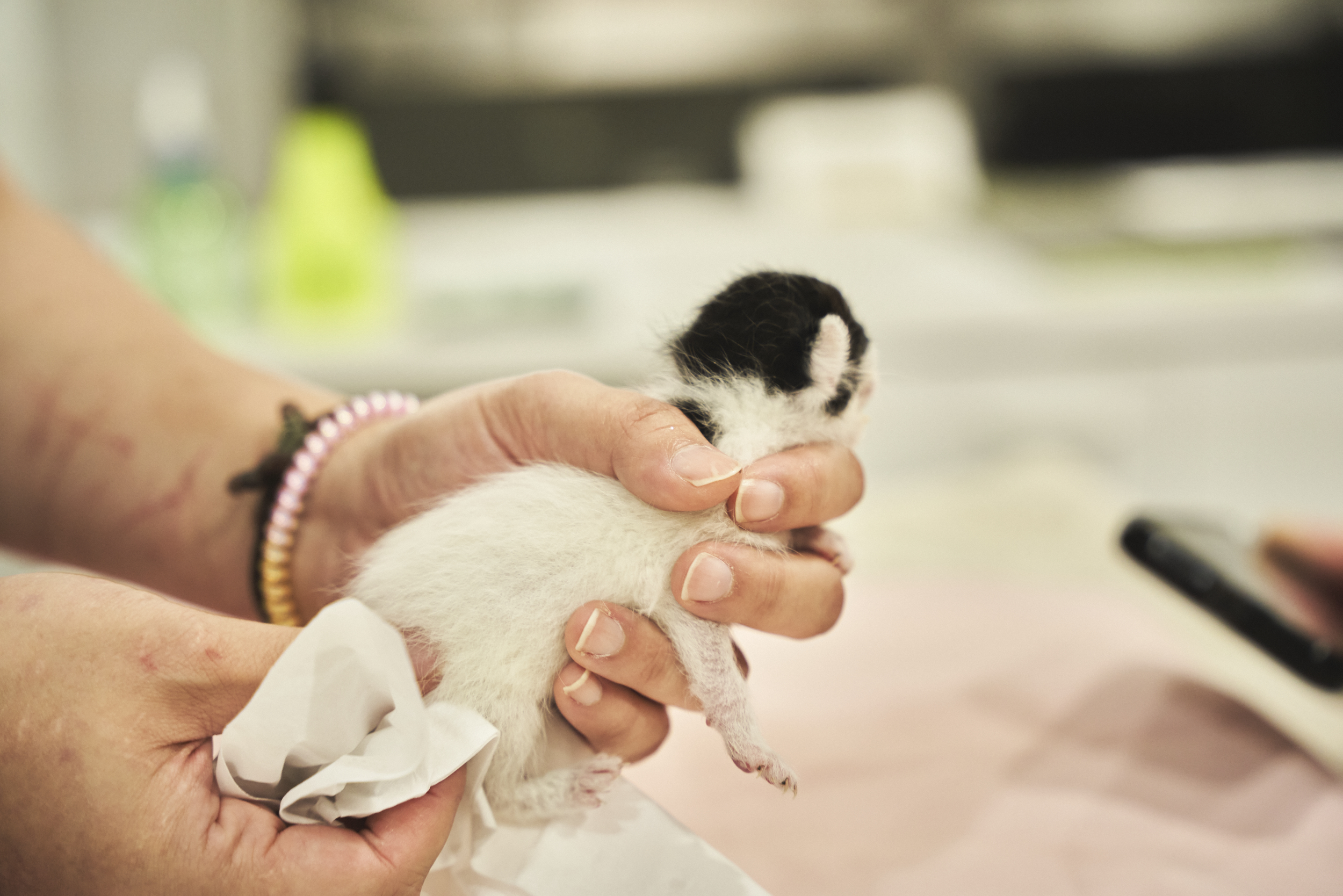 백산동물병원 대표 이미지