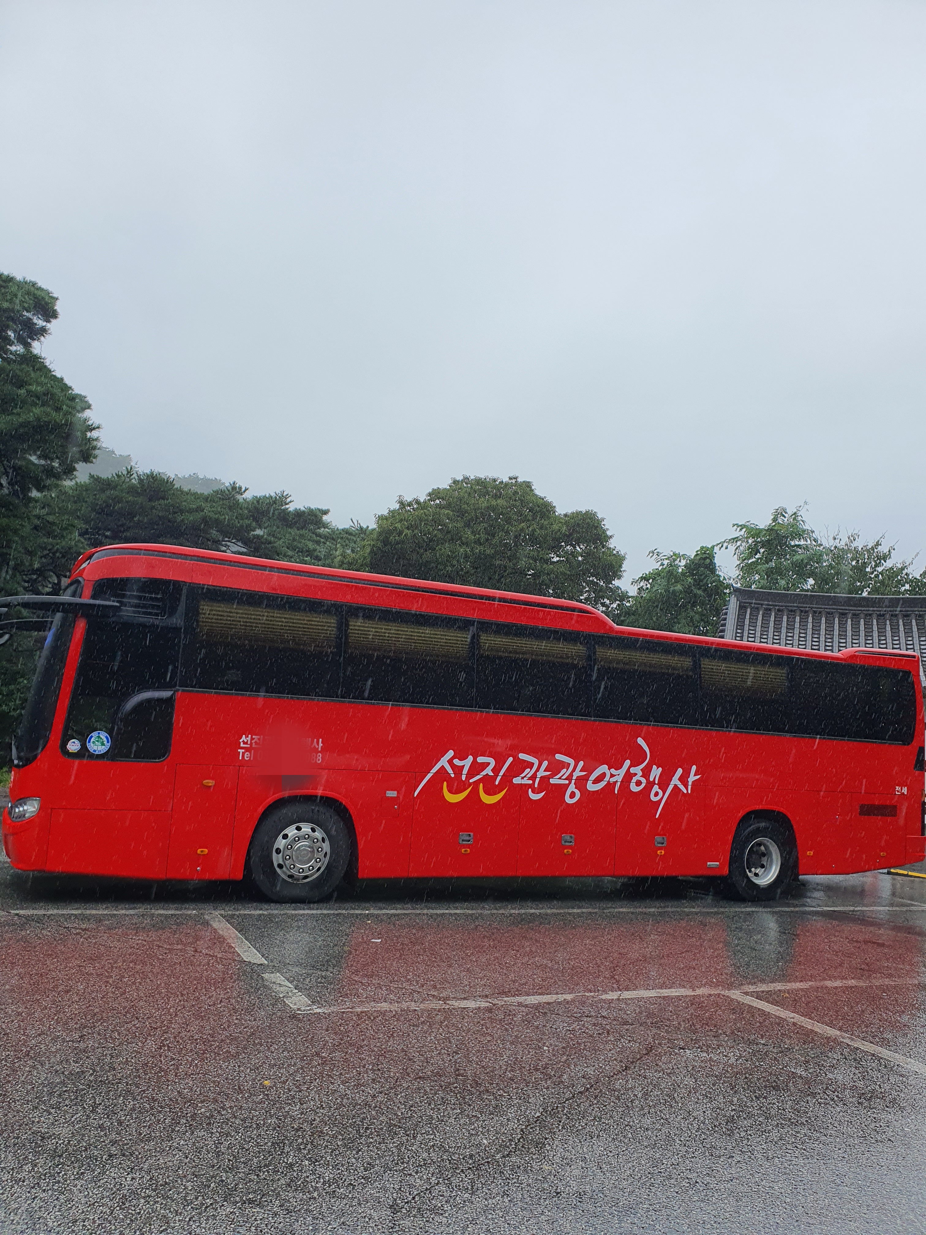 선진관광여행사