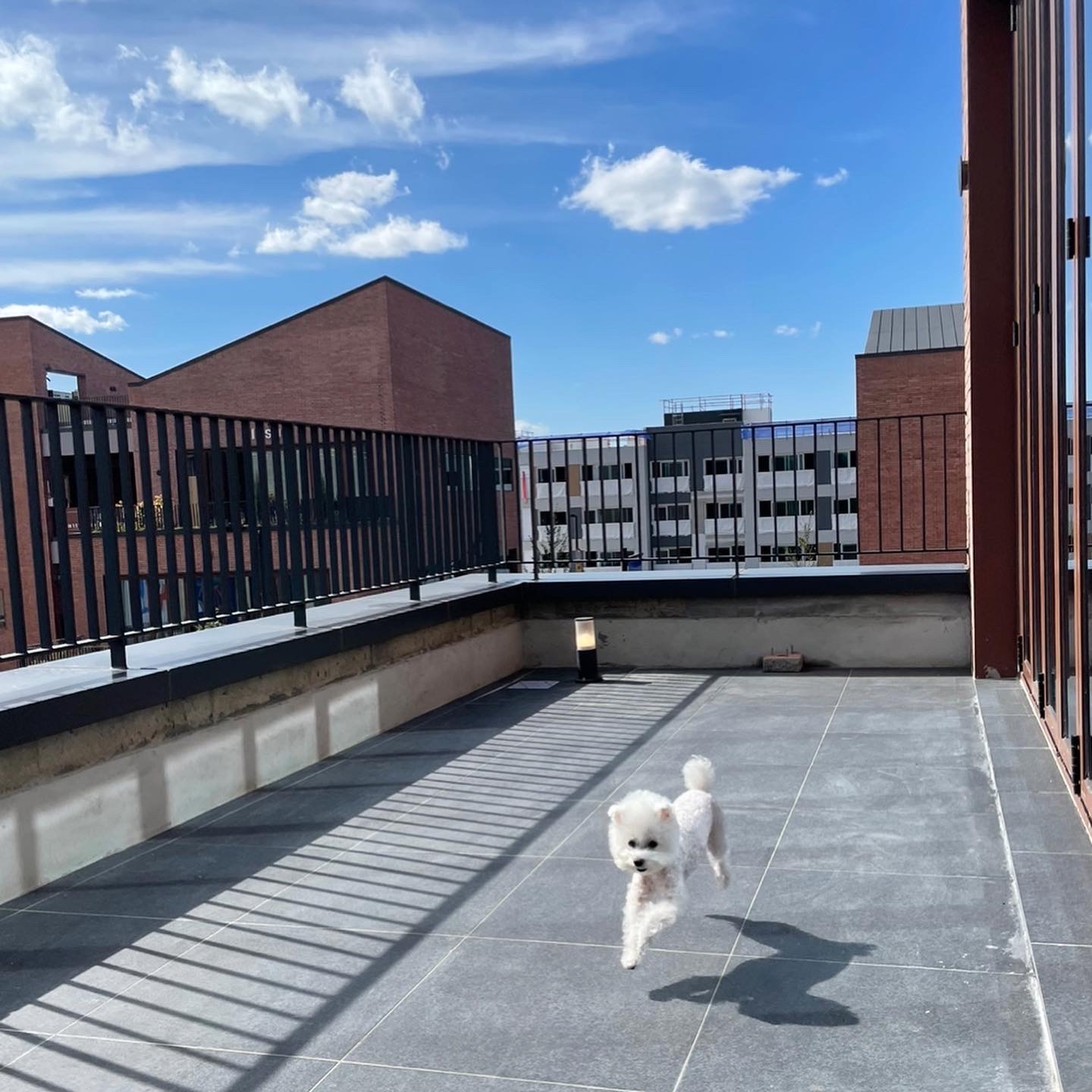 프랑소와펫 삼송점 대표 이미지