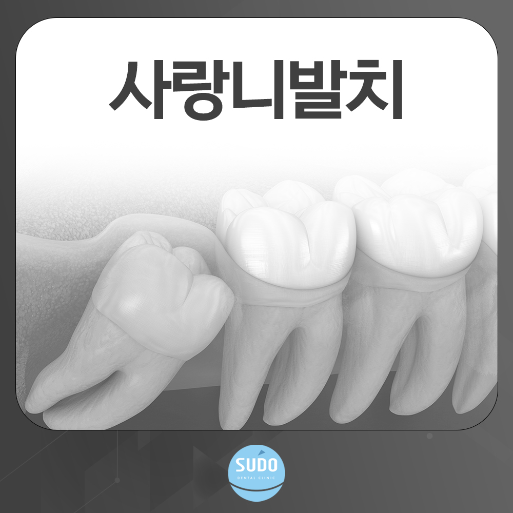 수도치과의원 대표 이미지