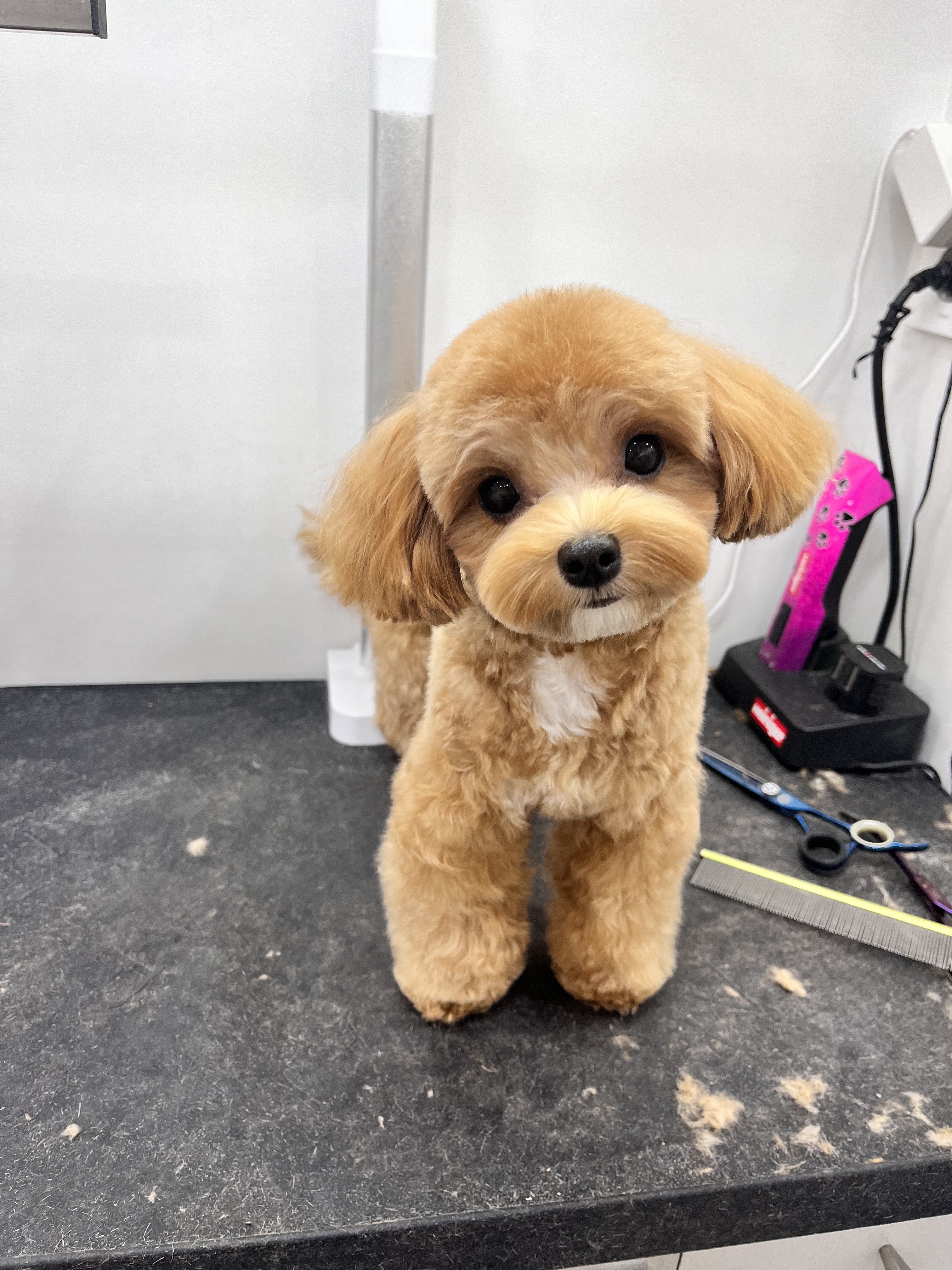 프리티우멍 대표 이미지