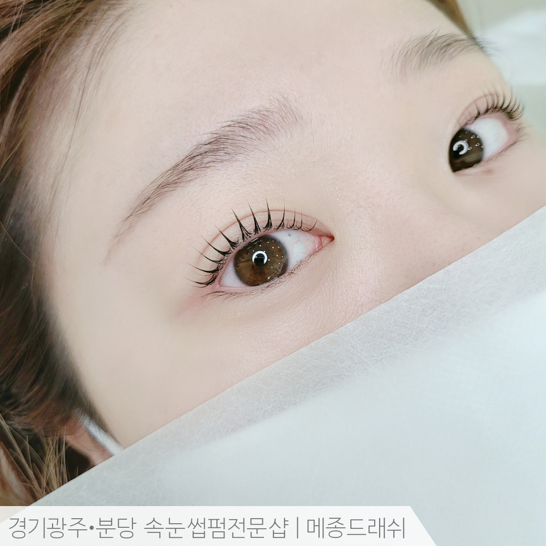 메종드래쉬