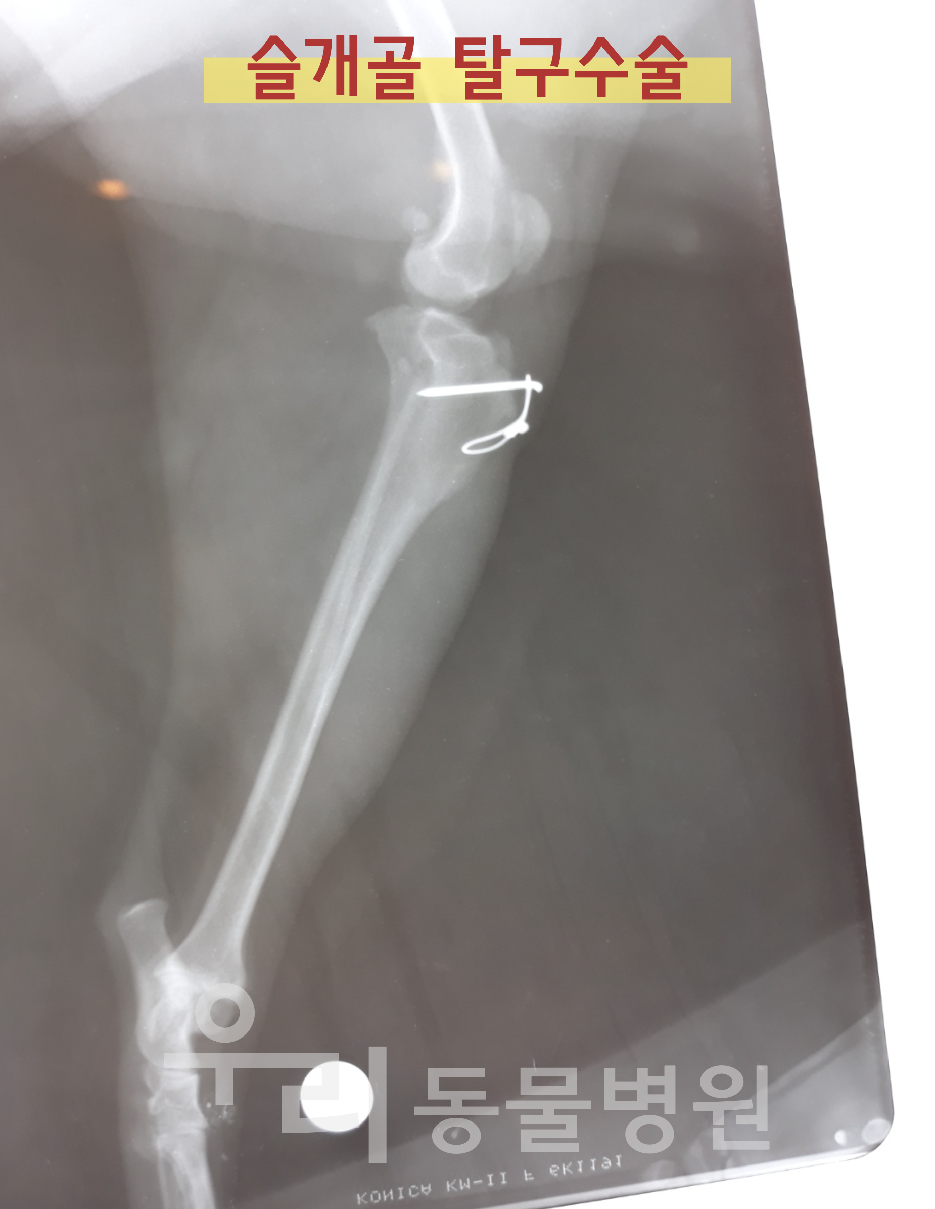 우리동물병원 대표 이미지