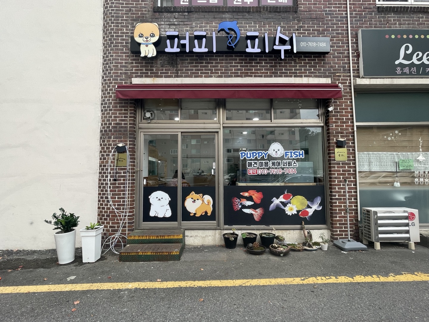퍼피앤피쉬