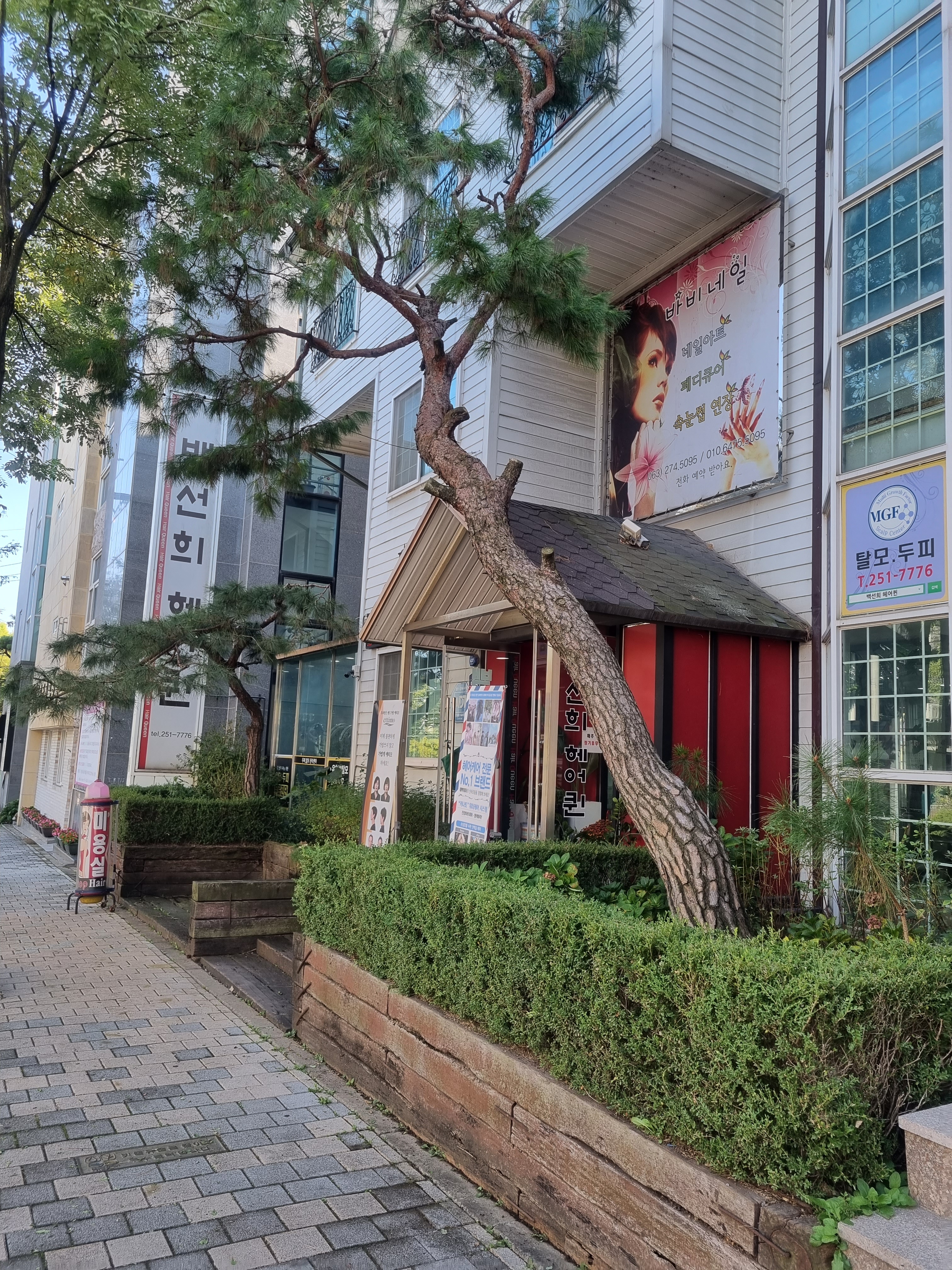백선희 헤어퀸