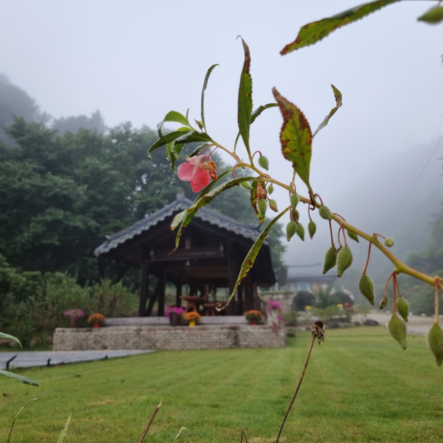 가평닭백숙 한우재골