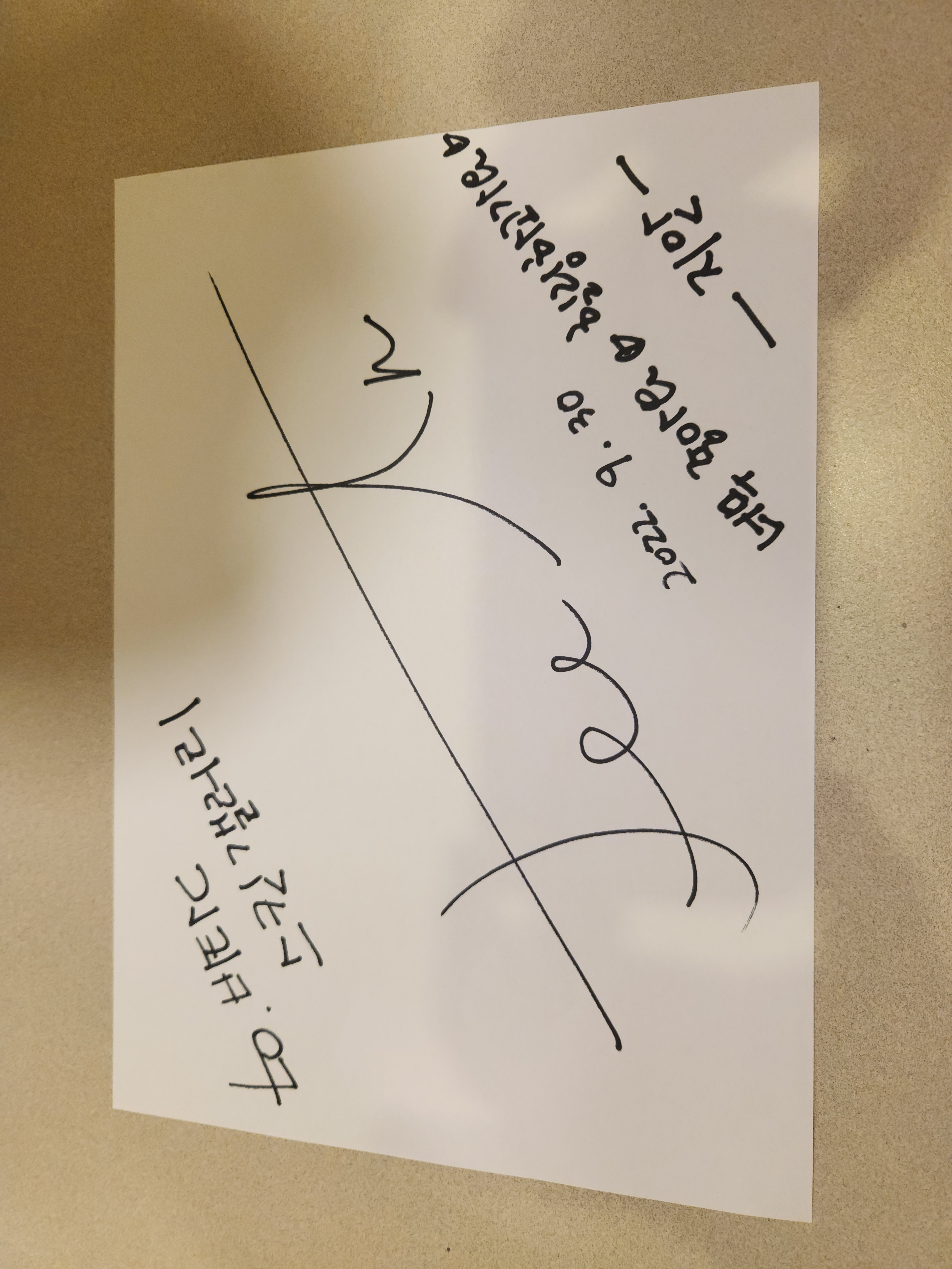 비타C스킨갤러리