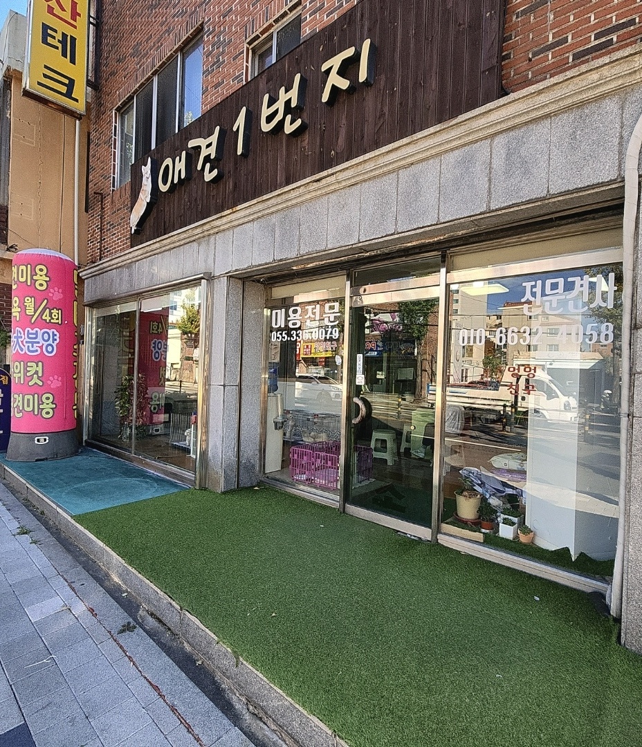 애견1번지 대표 이미지