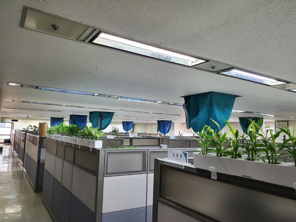 초록우산하우스크리닝 대표 이미지