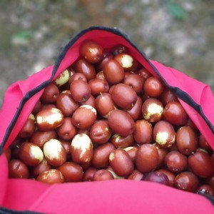 하늘농원
