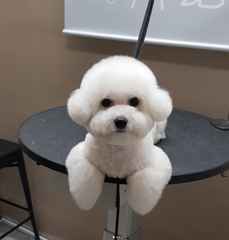 핑크멍 대표 이미지