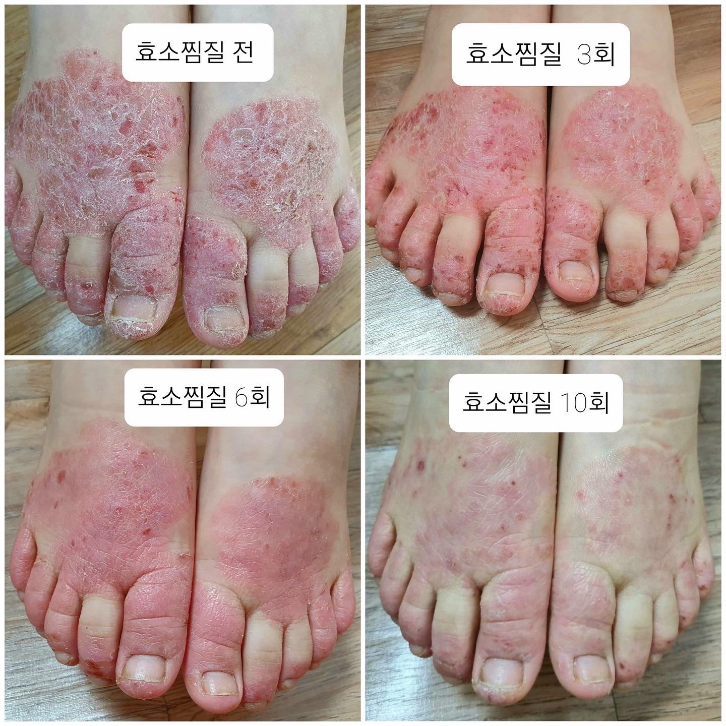 금화효소원