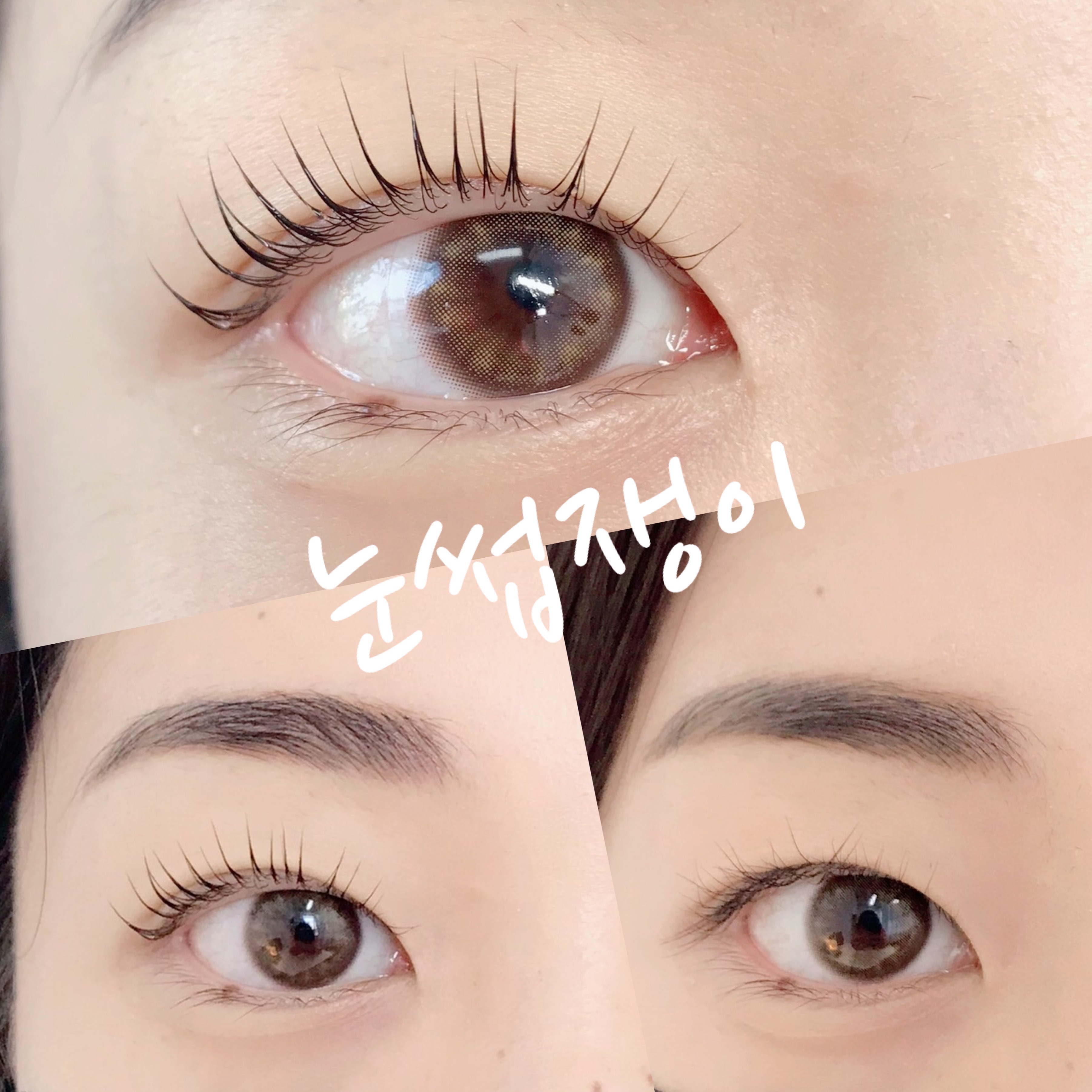 눈썹쟁이