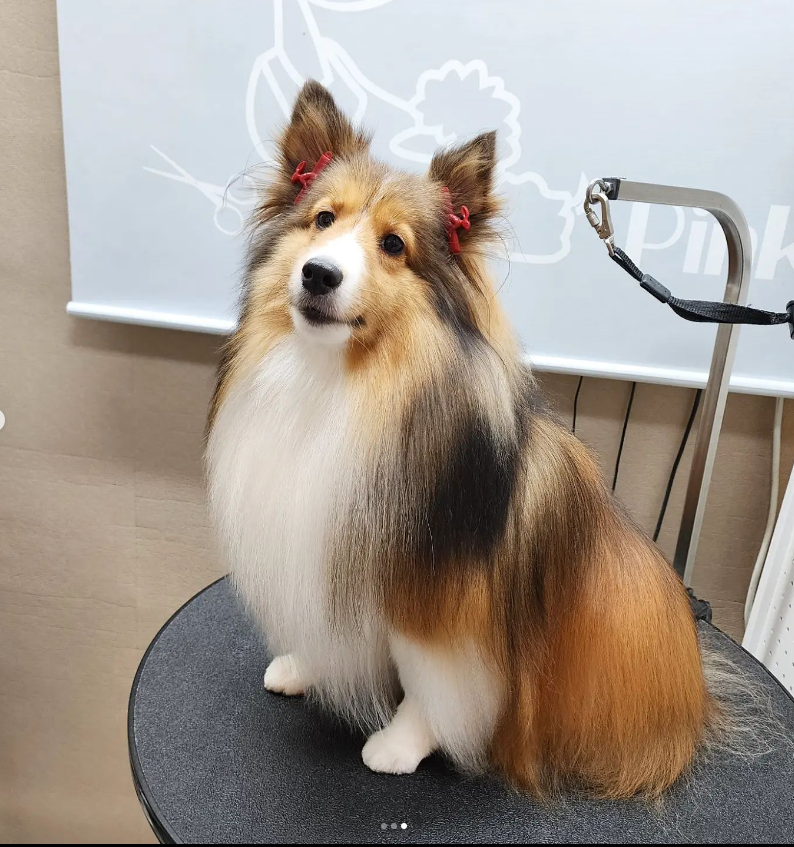 핑크멍 대표 이미지