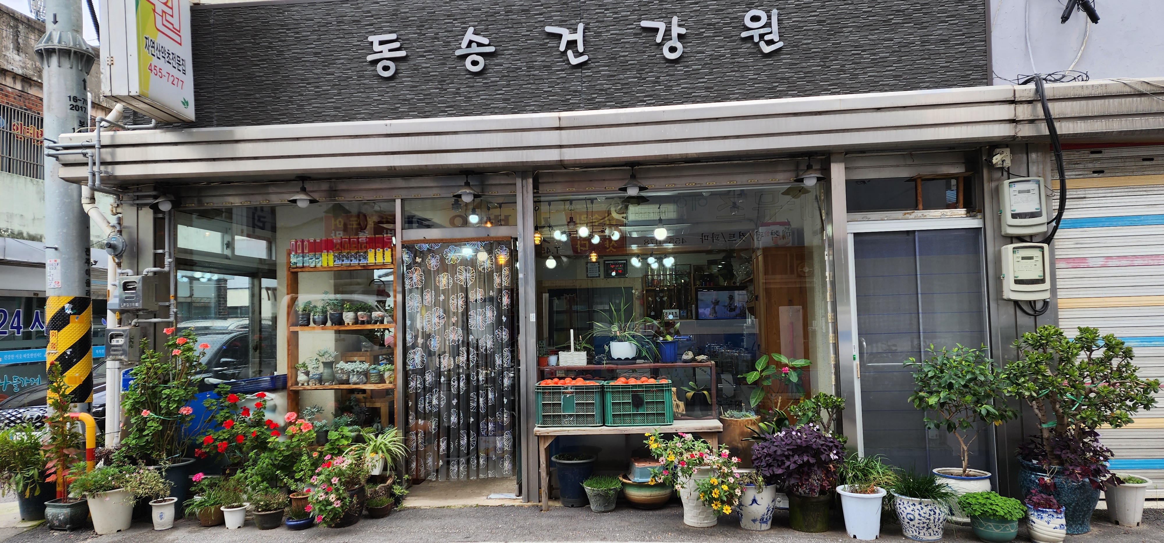 동송건강원