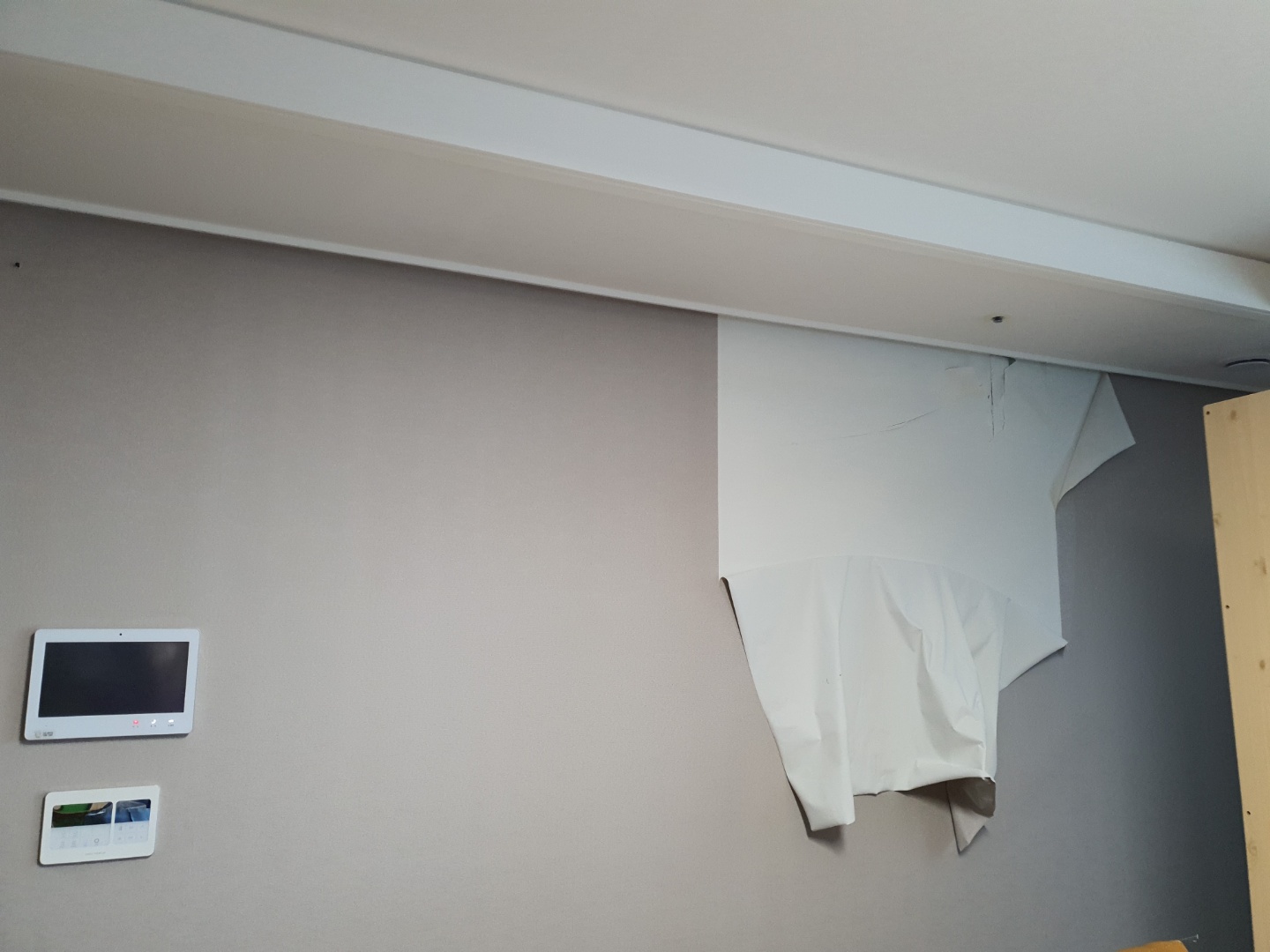 도배하는토끼 대표 이미지