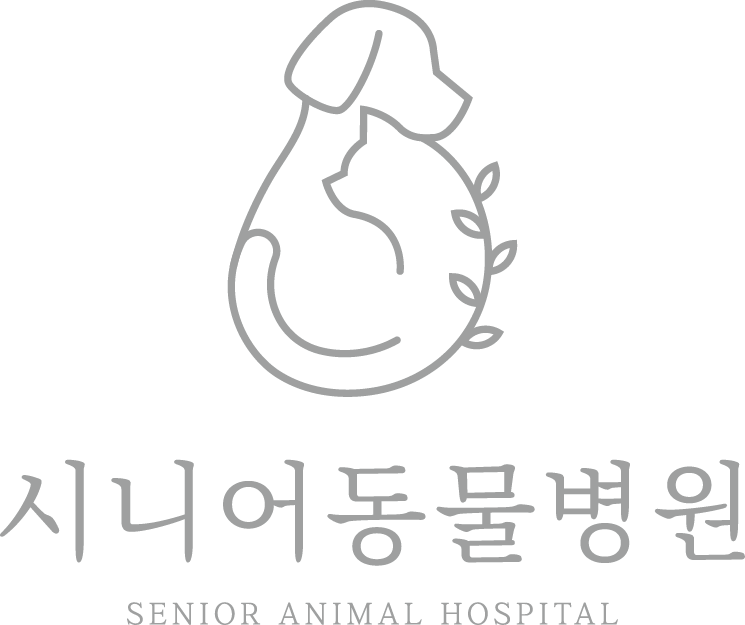 주변 가볼만한 곳