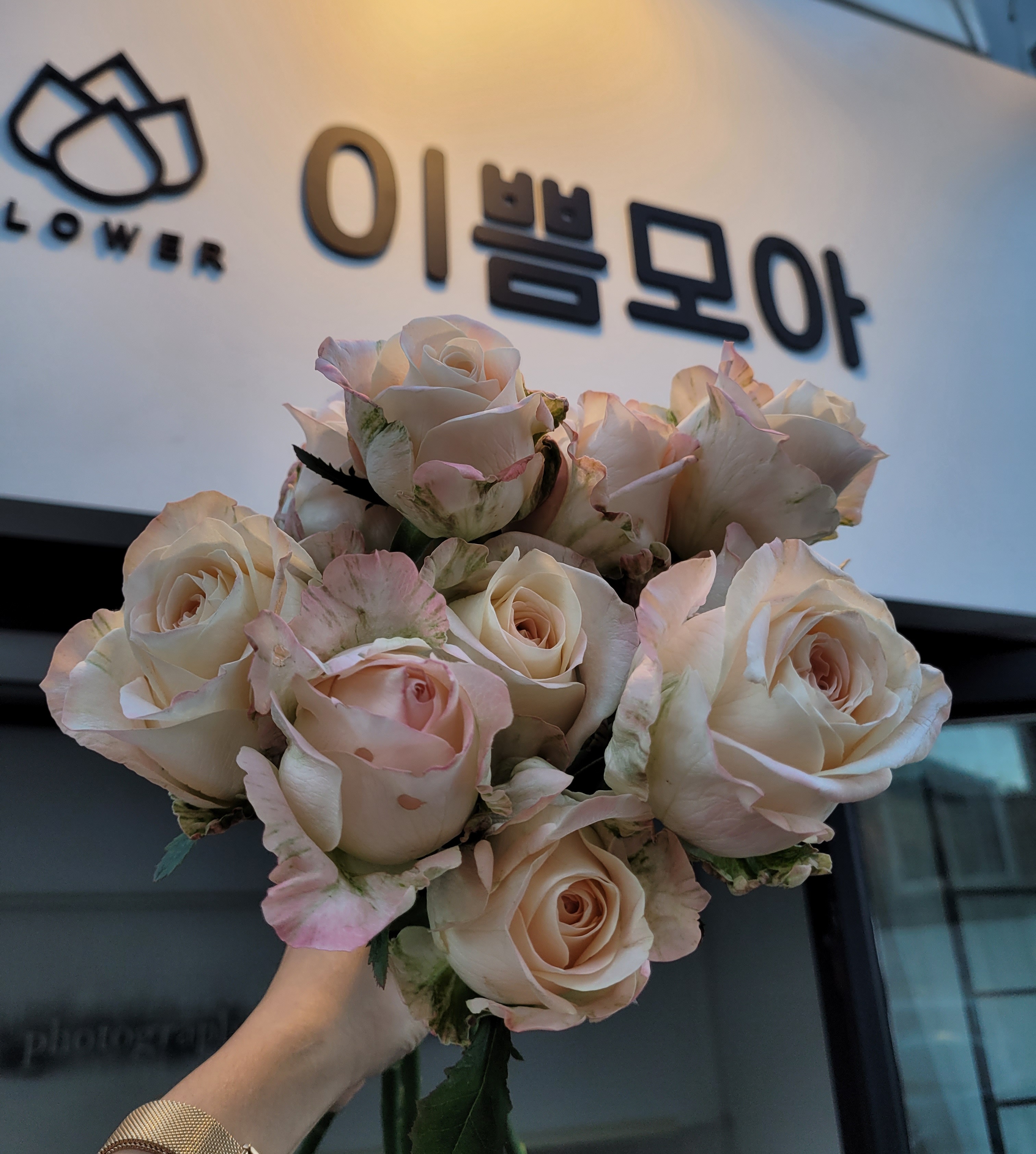 이쁨모아 플라워