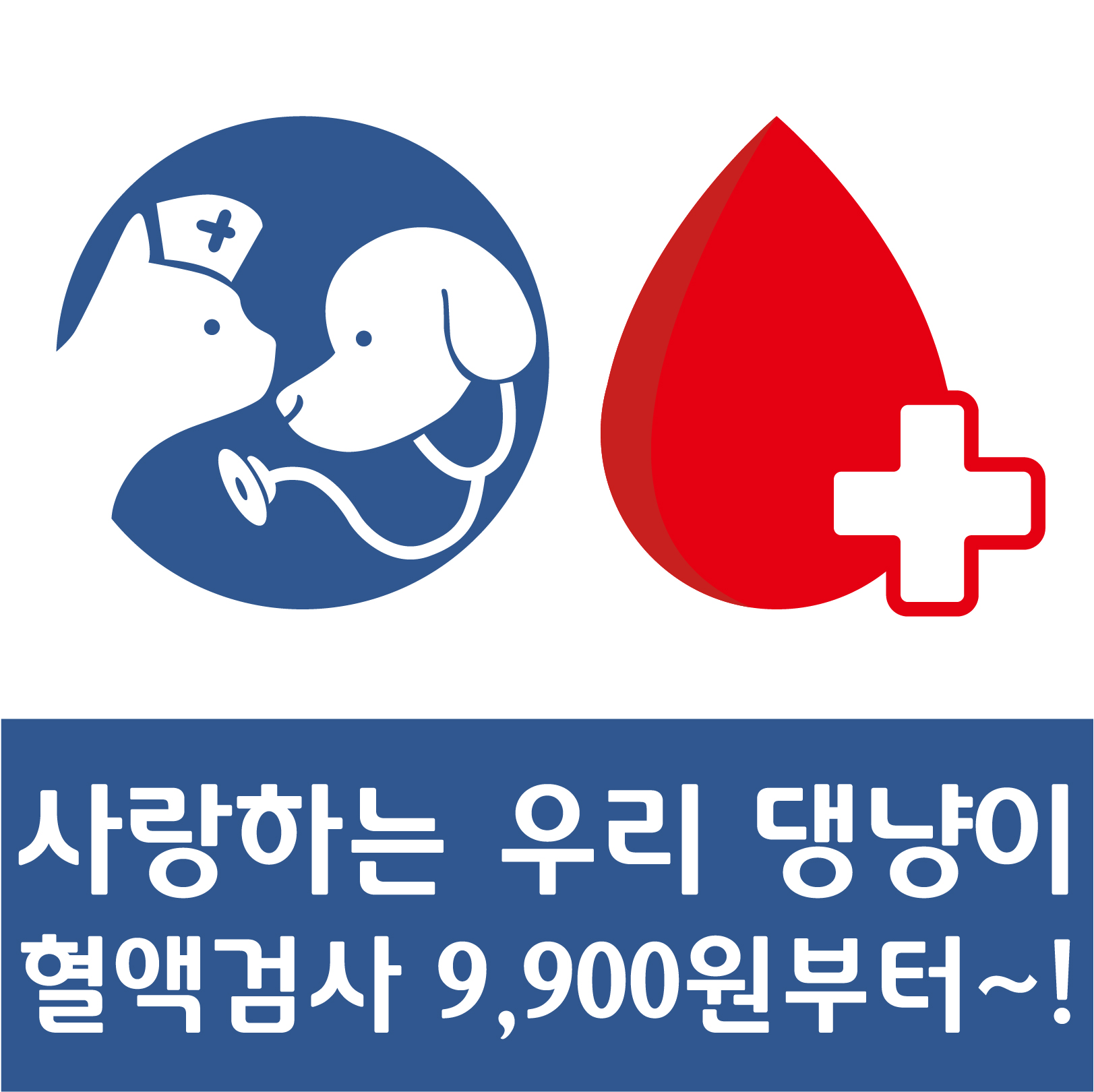 동편동물혈액검진센터