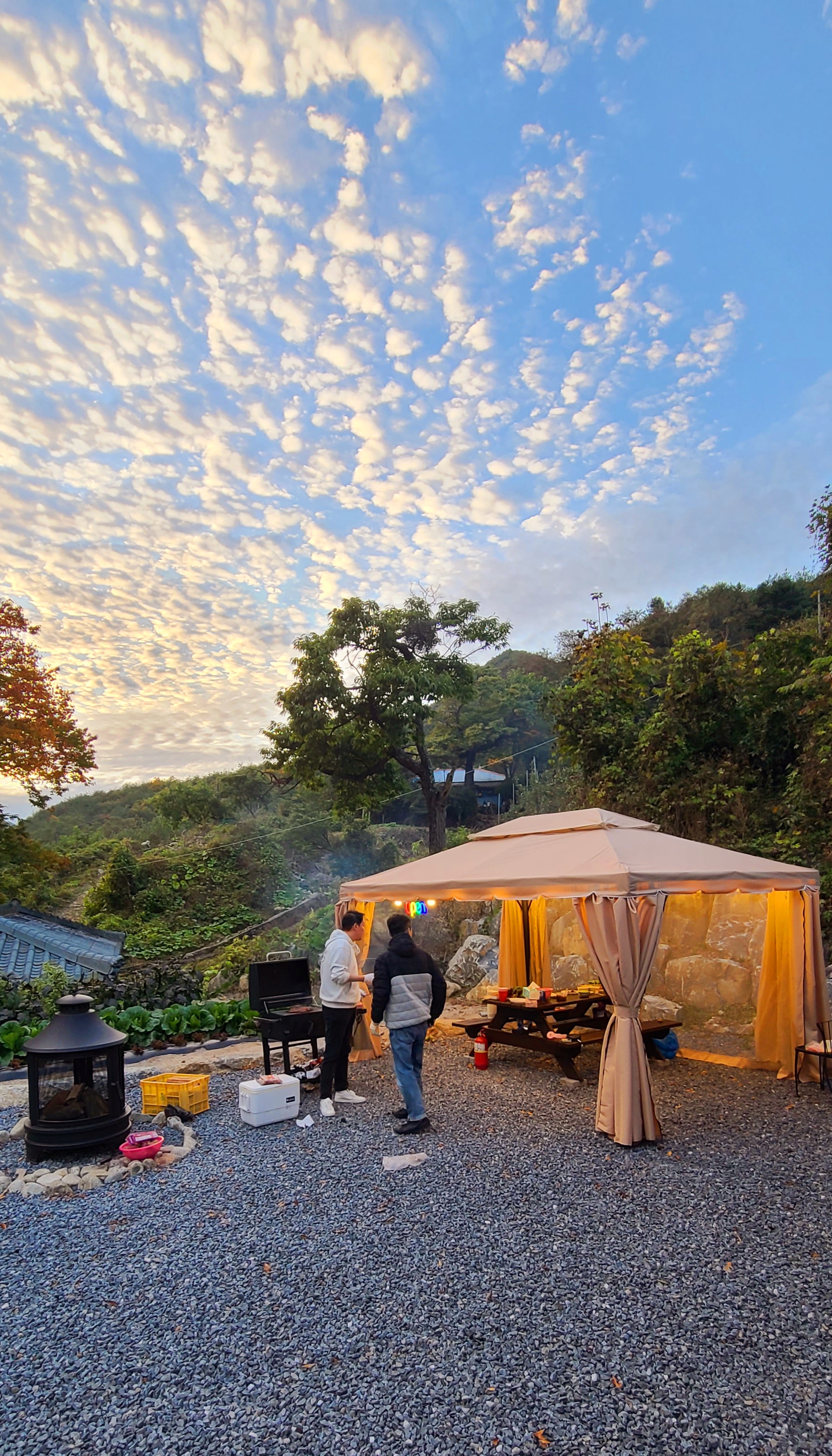 더 트리 홈 [ The Tree Home ]