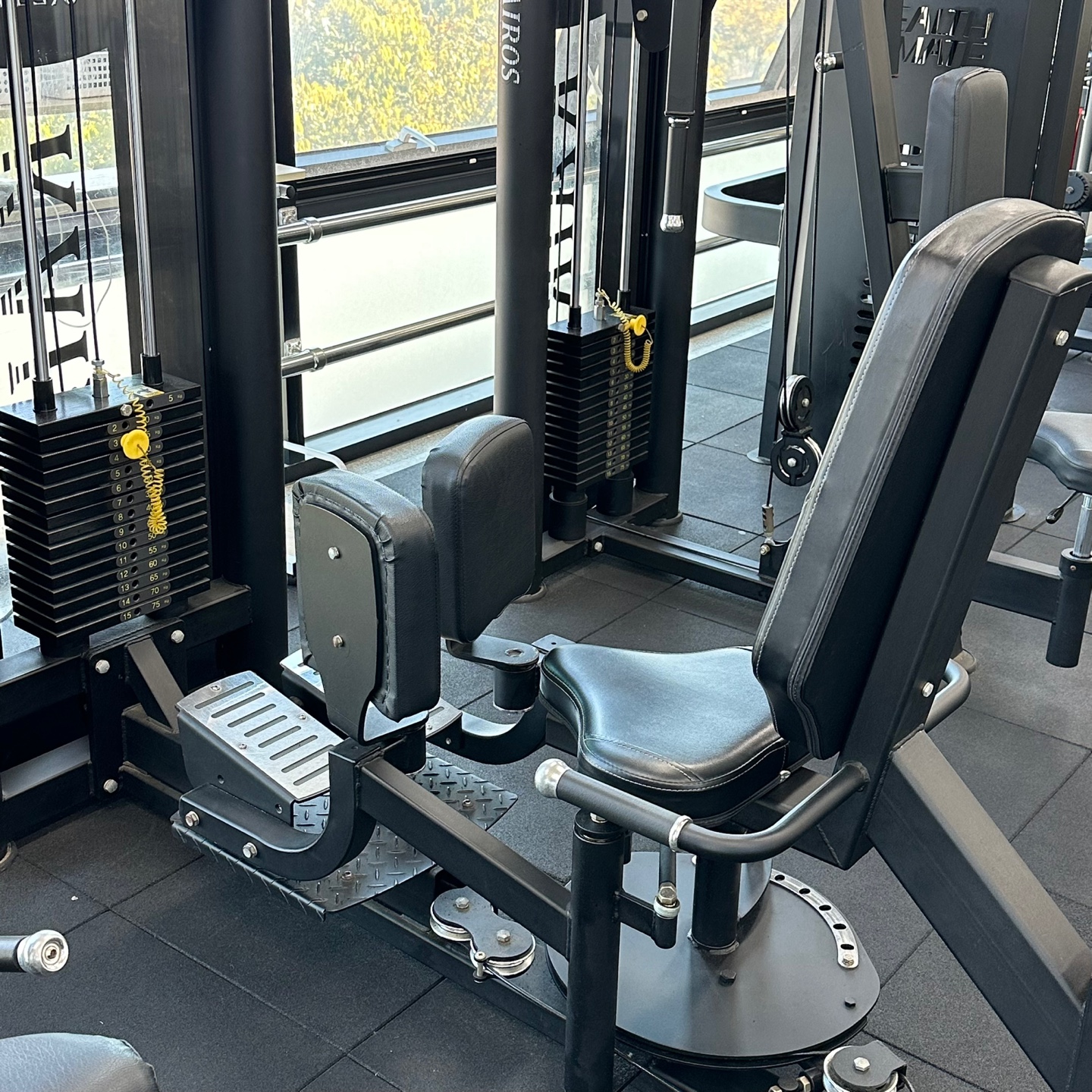 팀 팔머메디스포츠 대표 이미지