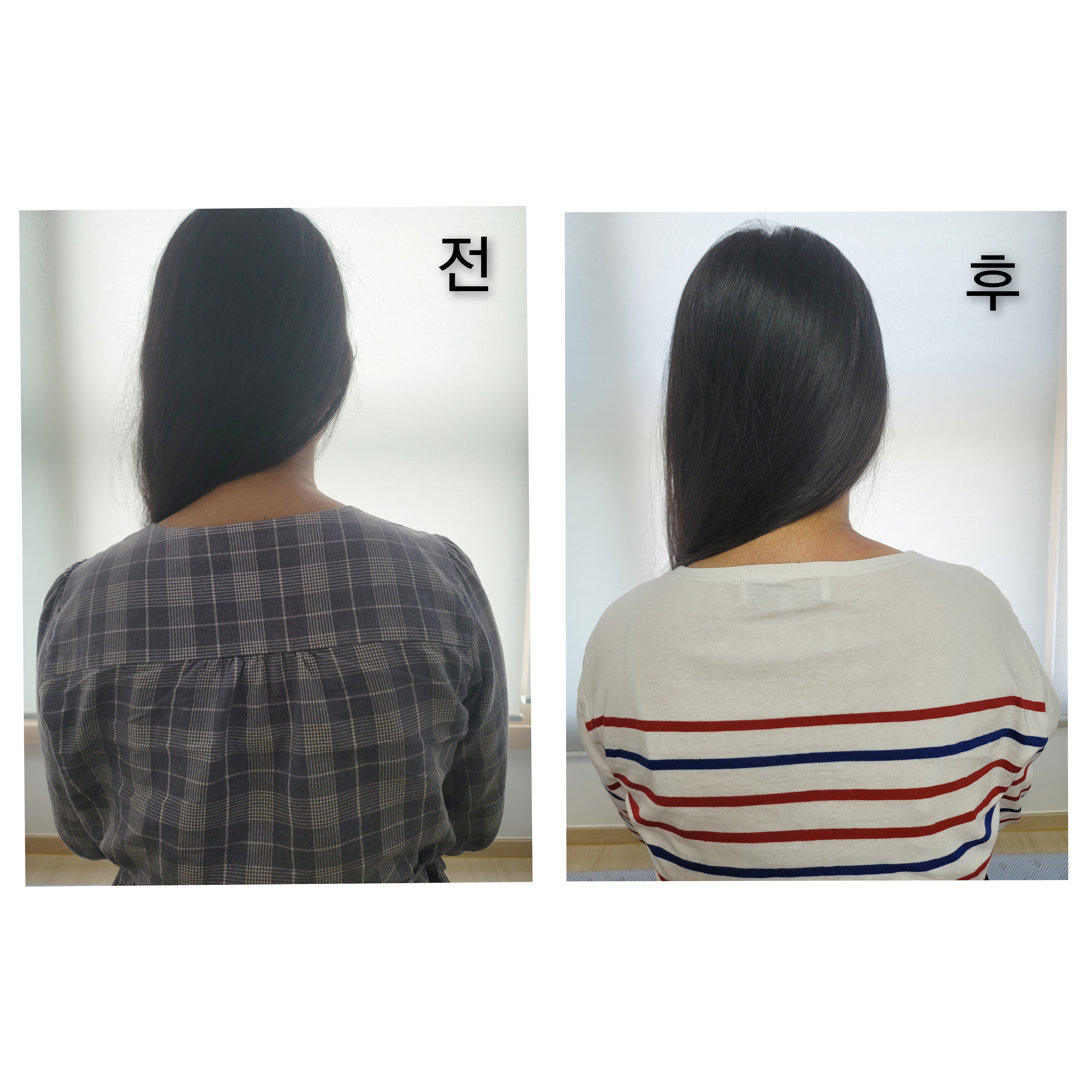 본 테라핏 photo 8