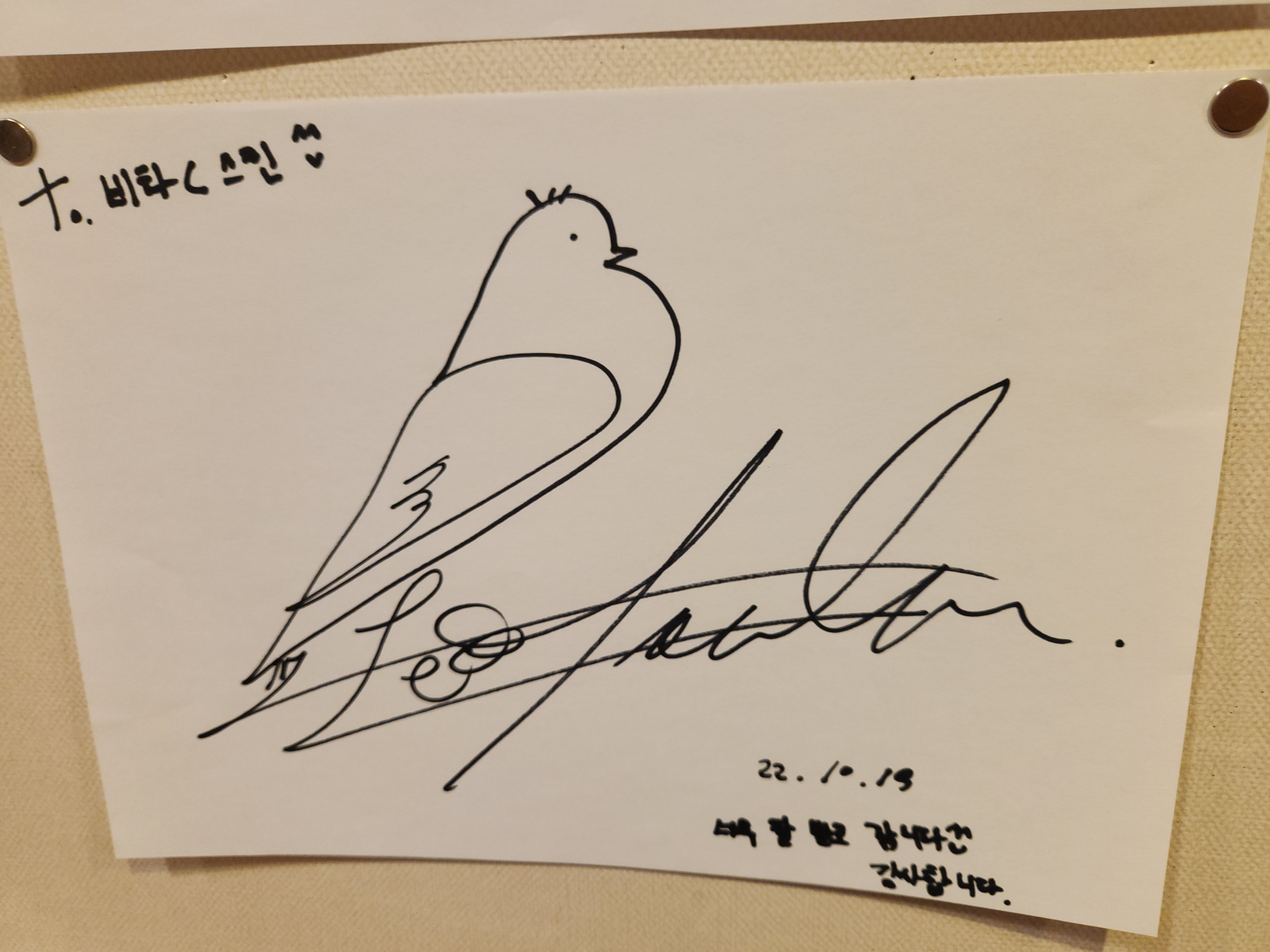 비타C스킨갤러리