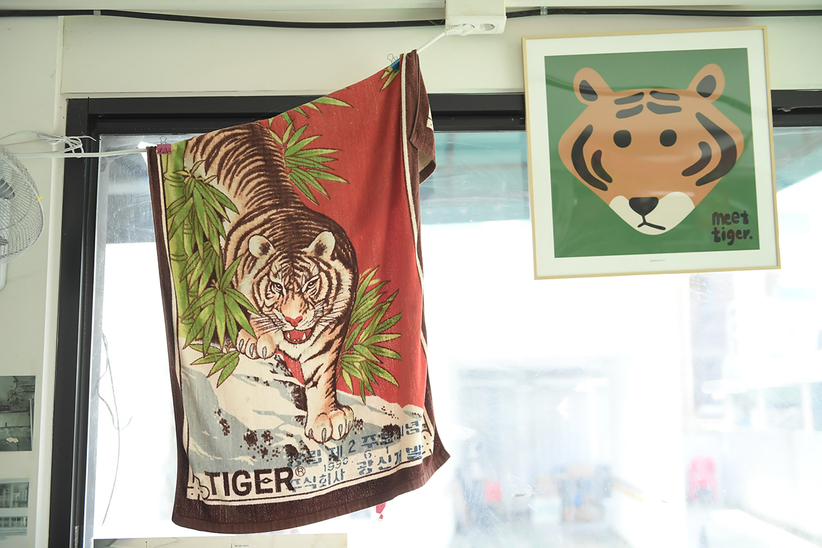 호랑이 대표 이미지